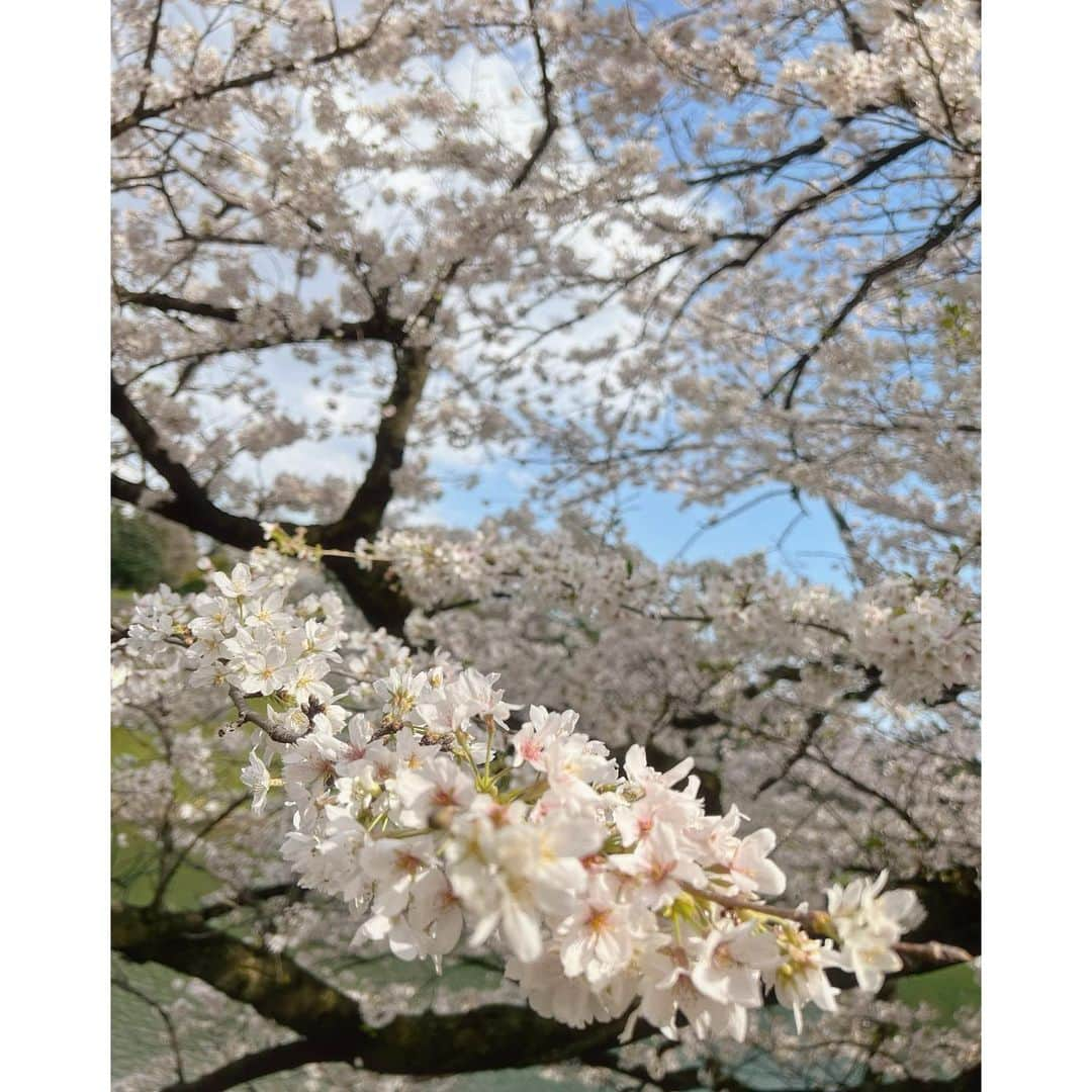 ダンソン・タンさんのインスタグラム写真 - (ダンソン・タンInstagram)「🚶🏻🚶🏻🚶🏻📸📸📸🌤️🌤️🌤️ - #DT #tokyo #唐禹哲」4月5日 15時33分 - dt_0902