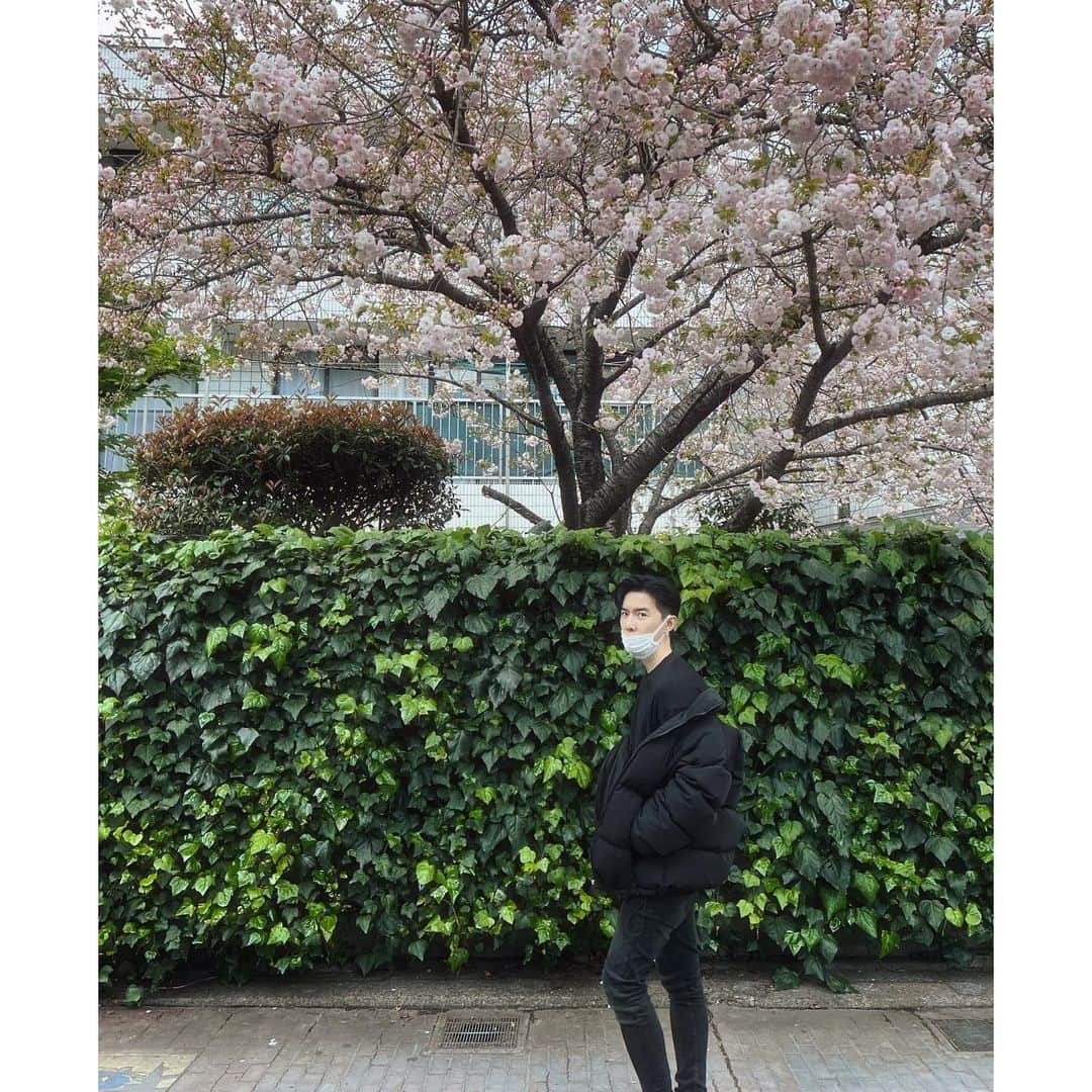 ダンソン・タンさんのインスタグラム写真 - (ダンソン・タンInstagram)「🚶🏻🚶🏻🚶🏻📸📸📸🌤️🌤️🌤️ - #DT #tokyo #唐禹哲」4月5日 15時33分 - dt_0902