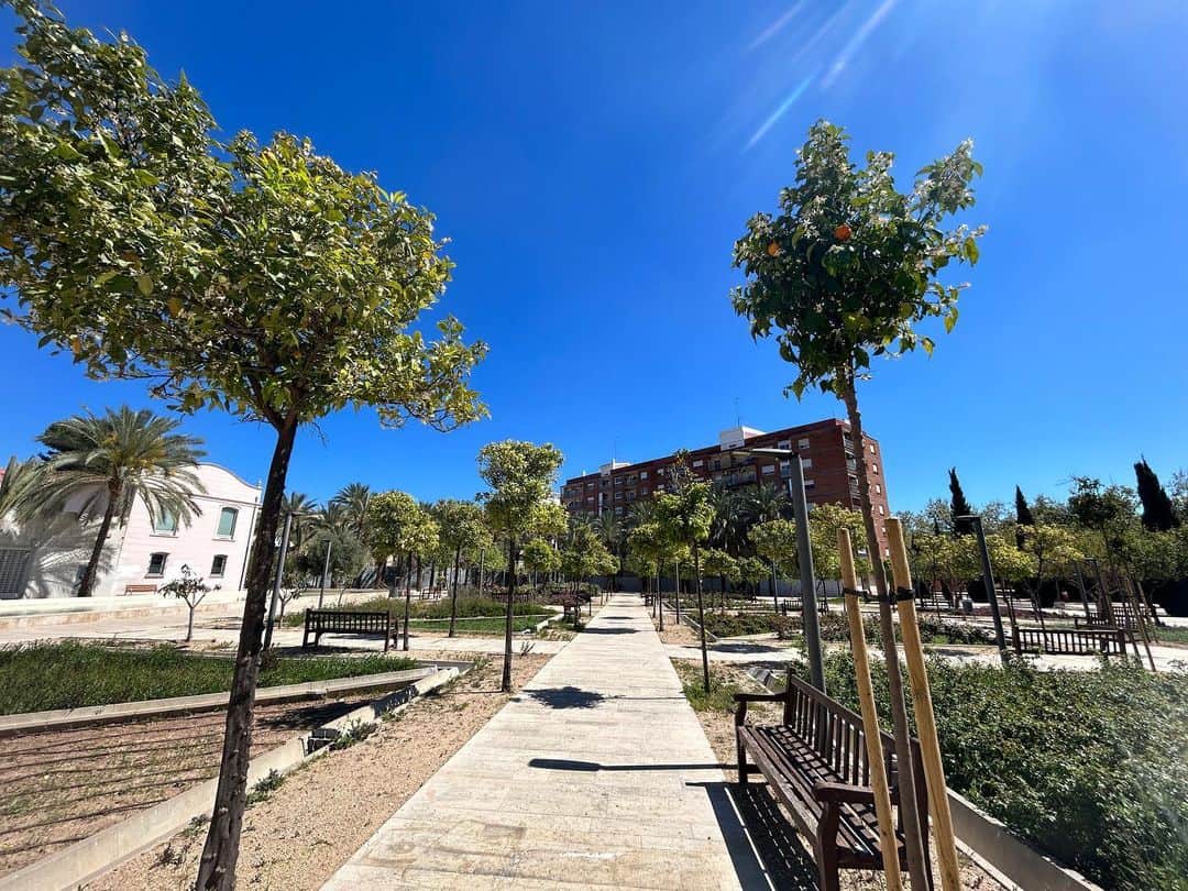 瀬崎一耀さんのインスタグラム写真 - (瀬崎一耀Instagram)「バレンシアCFのスタジアムから歩いて40分程度のところにある レバンテのホームスタジアムEstadi Ciutat de València  スタジアムの周りにオレンジの木が生っているのがなんともバレンシアらしい🟠 街中にもオレンジの木が！  こちらは大学や図書館など落ち着いた街並みの中に存在していました🦇  パエリア発祥の地バレンシアのパエリアは骨付きチキン、えんどう豆がメイン 意外とあっさりしていて食べやすかったです！」4月5日 15時48分 - ikko_sesaki