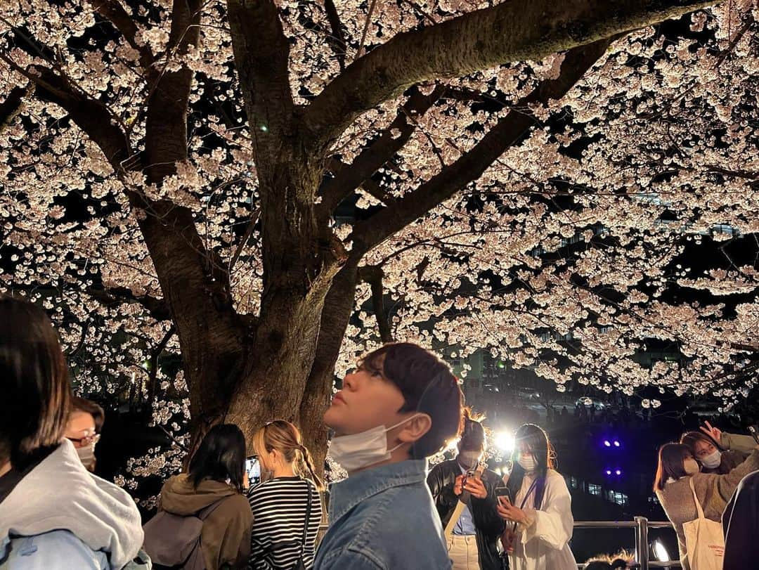 クォン・スンイルさんのインスタグラム写真 - (クォン・スンイルInstagram)「#밤벚꽃 🌸 #さくら #CherryBlossom #벚꽃」4月5日 15時44分 - urbankwon