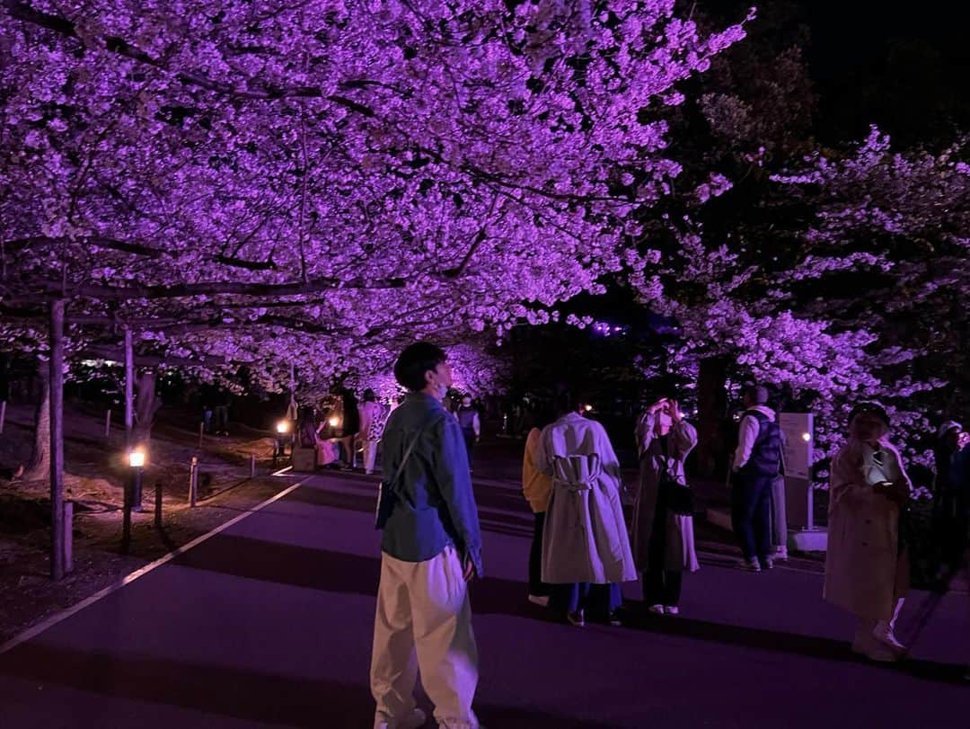 クォン・スンイルさんのインスタグラム写真 - (クォン・スンイルInstagram)「#밤벚꽃 🌸 #さくら #CherryBlossom #벚꽃」4月5日 15時44分 - urbankwon