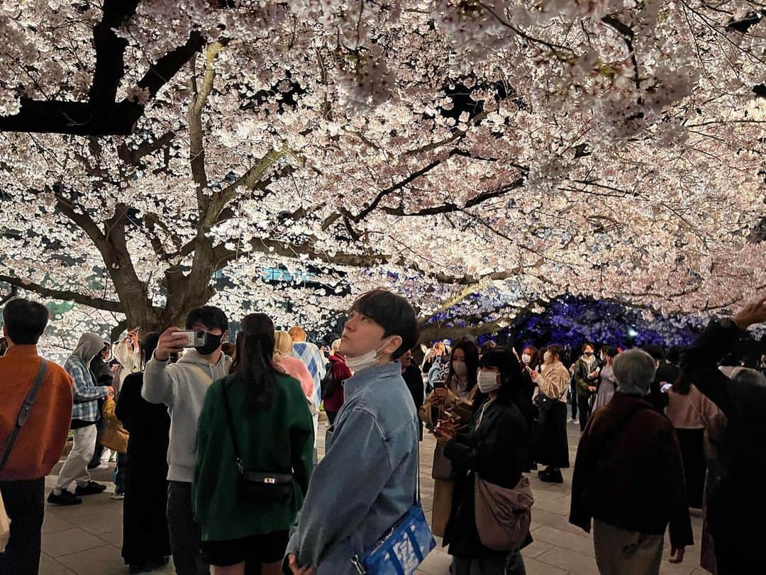 クォン・スンイルのインスタグラム：「#밤벚꽃 🌸 #さくら #CherryBlossom #벚꽃」