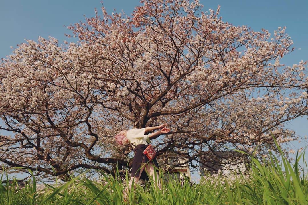 水森依音さんのインスタグラム写真 - (水森依音Instagram)「🌸🌷🕊🫧」4月5日 16時06分 - ion_mizumori