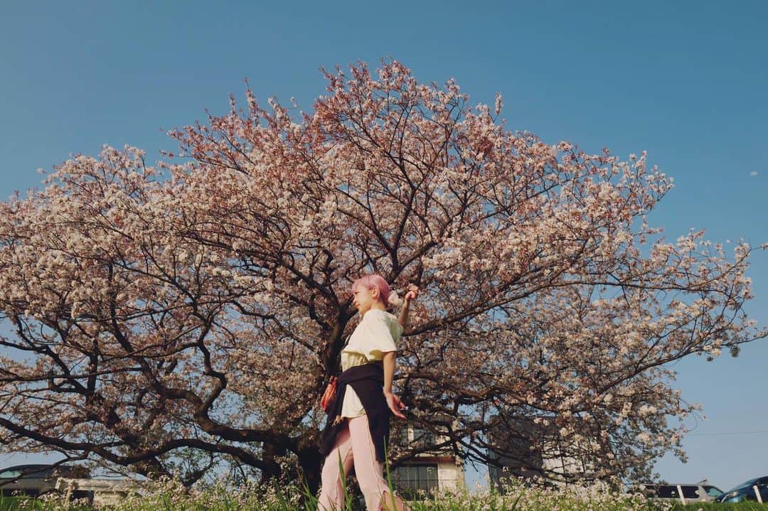 水森依音さんのインスタグラム写真 - (水森依音Instagram)「🌸🌷🕊🫧」4月5日 16時06分 - ion_mizumori