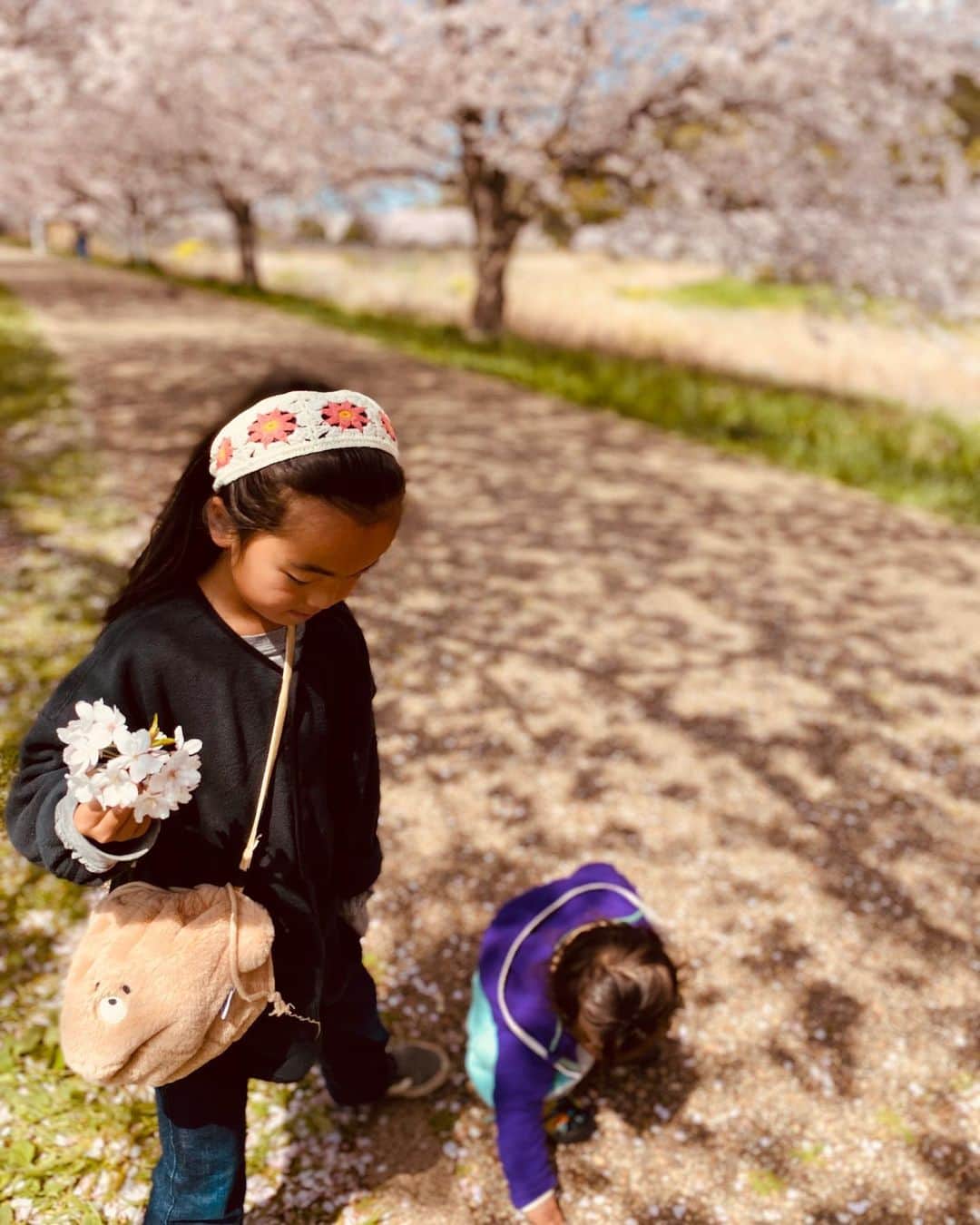 堀舞紀さんのインスタグラム写真 - (堀舞紀Instagram)「🌸🌸🌸  ここの桜は本当に綺麗😩で ため息でちゃう😮‍💨  今年は東京より先始めも遅くて 不思議な時差があったね🤓  et.も指を指して チレーッッ って感想述べてました🤣 分かってるのか 謎だけど ネーネと遊んで楽しそうだったよ🥺  近所にこんなスペシャルな 場所があるなんて贅沢でしかないワー  来年は 美味しいmuffin🧁とか🍡もって シートひいてダラダラ 眺めたいな。  まだ無理か👶🏻←😩。  #お花見 #桜 #cherryblossom  #JAPAN #湘南桜スポット」4月5日 16時06分 - mainohori