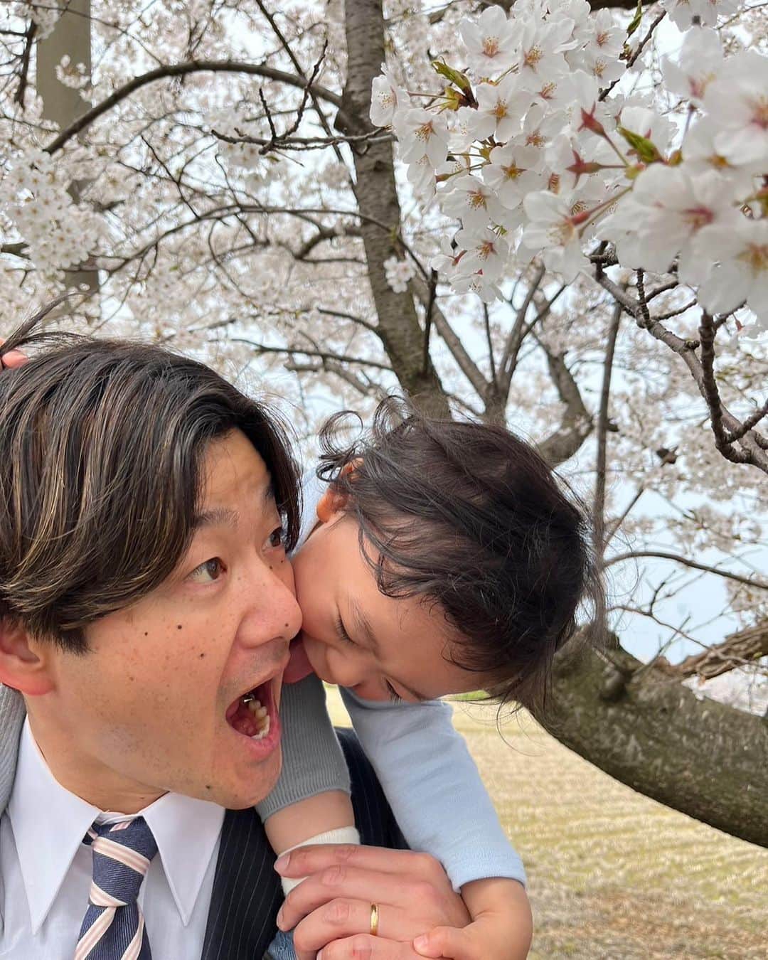 山脇充さんのインスタグラム写真 - (山脇充Instagram)「次男の丸の入園式でした🌸  記念に桜めがけてタカイタカイ㊗️  カッコつけたらタレ目が行きすぎてしまったのと蝶ネクタイに違和感ありで号泣した丸のと以前しだれた植物に囲まれホラー感出したのとです。  #入園式 #1さい #桜 #youtube #やまわきくん家」4月5日 16時24分 - ninninyamayama