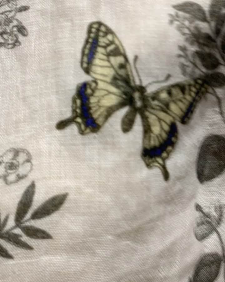 のインスタグラム：「蝶🦋  本日21時よりドラマ「隣の男はよく食べる」 第一話がparaviで先行配信ですー！！  ドラマが始まりますよぉー✨ 是非見て、良ければ感想聞かせてねー🫣✨  楽しんでくれると良いなぁ☺️  #隣の男はよく食べる」