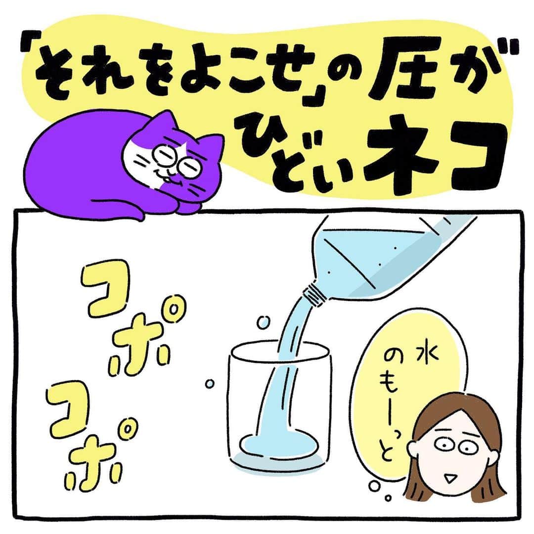 澤村 花菜のインスタグラム：「飲んでる時の顔  #ぐみごまのまんが  #イラスト #絵日記 #まんが #ねこのいる暮らし #さび猫 #猫漫画 #illustration」