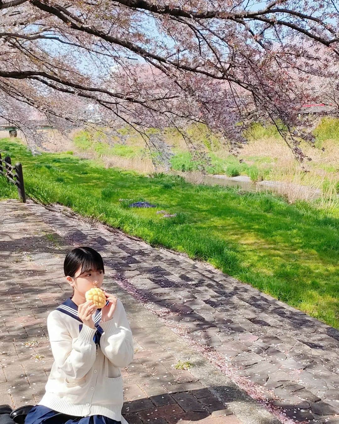 西川実花さんのインスタグラム写真 - (西川実花Instagram)「🍞🌸🎀 𓂃◌𓈒𓐍  パン大好き☺️✨  #08#jc#ljc#jc3#モデル志望#女優志望#制服#パン#春#桜#cherryblossom」4月5日 16時33分 - mika_nishikawa_