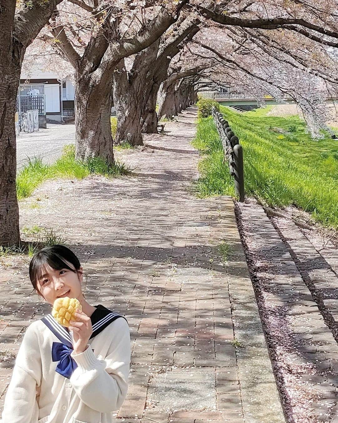 西川実花さんのインスタグラム写真 - (西川実花Instagram)「🍞🌸🎀 𓂃◌𓈒𓐍  パン大好き☺️✨  #08#jc#ljc#jc3#モデル志望#女優志望#制服#パン#春#桜#cherryblossom」4月5日 16時33分 - mika_nishikawa_
