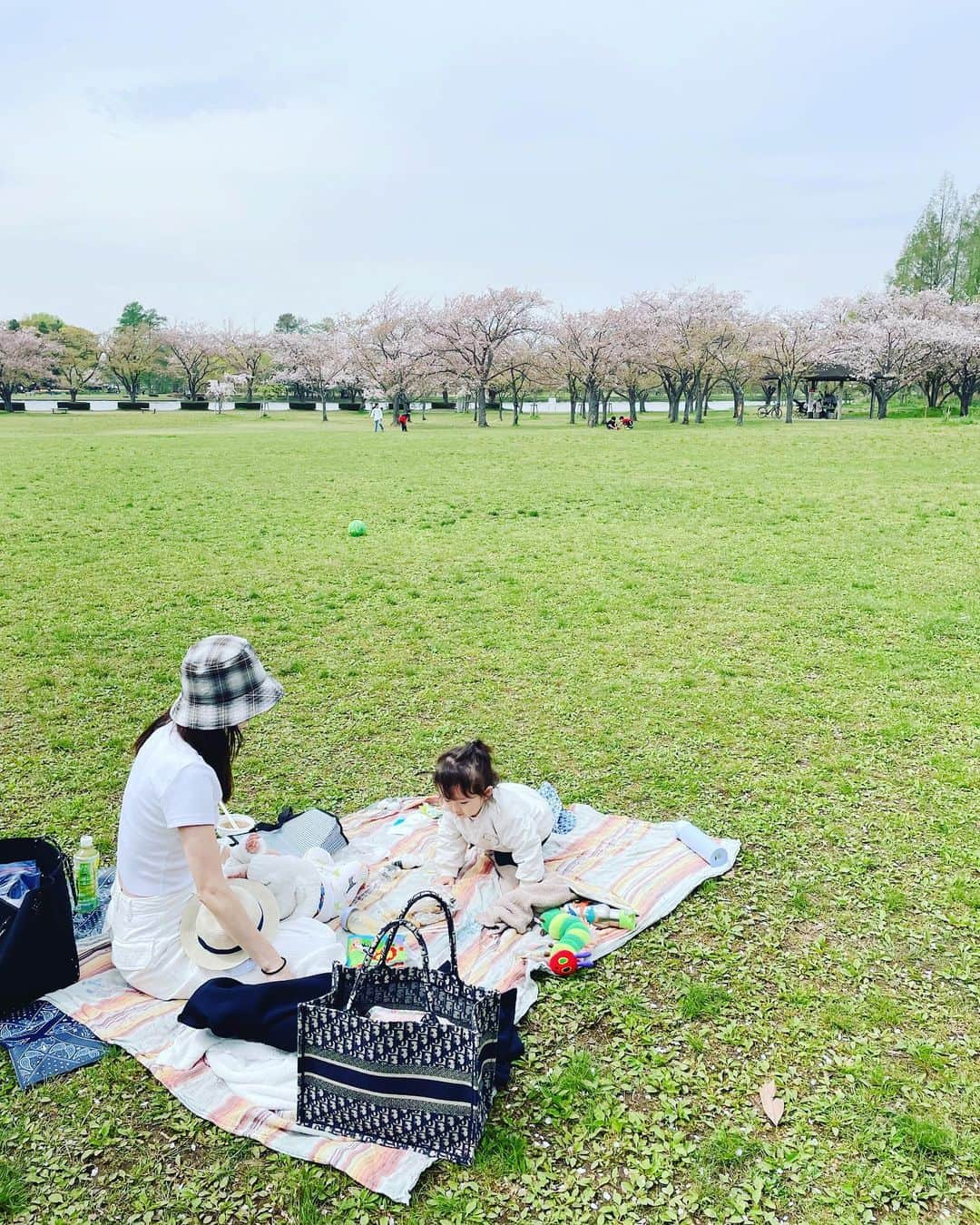 阪井あゆみさんのインスタグラム写真 - (阪井あゆみInstagram)「お天気が良さそうだったので おにぎりと卵焼きと春巻きだけ焼いてお出かけしました🌸🍱  人見知りで 場に慣れるのに少々時間がかかる 長男が楽しそうで…☺️✨  パパともボール遊びしたり かけっこしたり🦖🥎  お出かけは何かと準備や予定通りにいかないことが 沢山あって大変ですが 今しか出来ないことを大切に。  パパママは全力で頑張ります！ 体力勝負です…はい笑  #みさと公園#お花見#桜#桜舞い散る #年子兄弟 #最近は9時には寝てしまいます #体力勝負」4月5日 16時36分 - ayumisakai0121