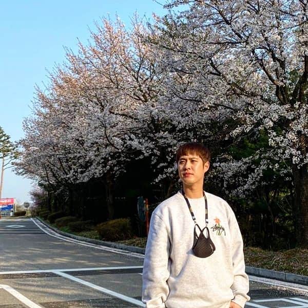 スンホ のインスタグラム：「1일 1업로드 벚꽃샷」