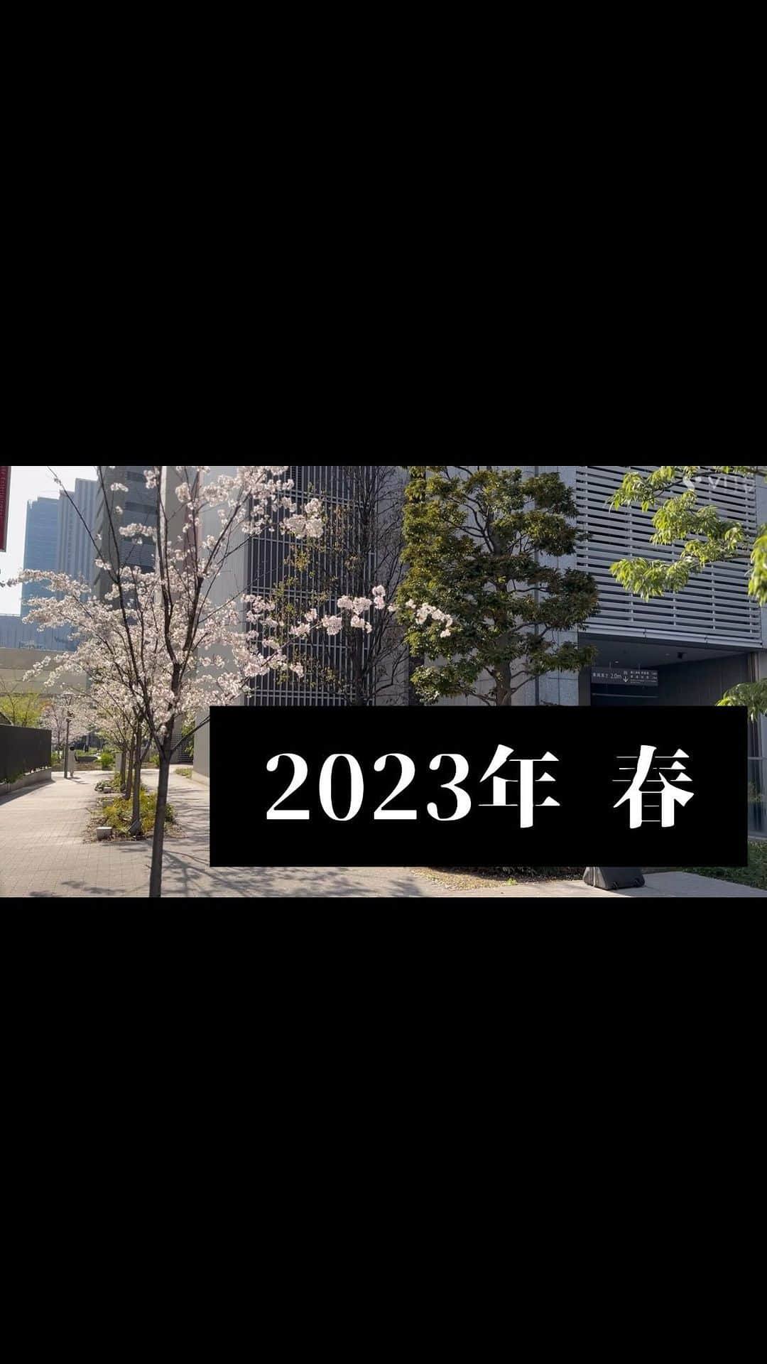 橋本市民球場のインスタグラム：「橋本市民パーティー 4月11日20時30分 道頓堀ZAZA Houseにて！  M-1風に告知動画作ってみました🫡🫡🫡 ぜひ見に来てください☺️  #よしもと漫才劇場  #お笑い芸人」