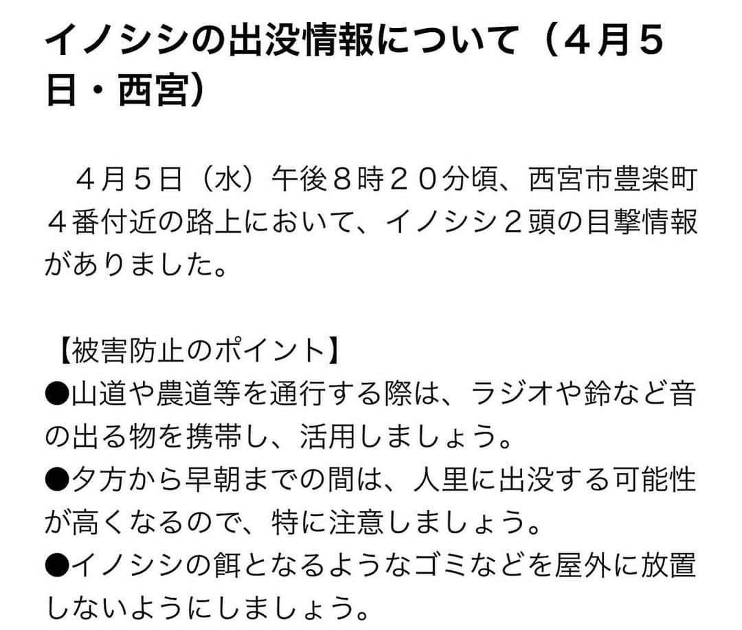 桂さんのインスタグラム写真 - (桂Instagram)「イノシシの出没情報について（４月５日・西宮）  　４月５日（水）午後８時２０分頃、西宮市豊楽町４番付近の路上において、イノシシ２頭の目撃情報がありました。  【被害防止のポイント】 ●山道や農道等を通行する際は、ラジオや鈴など音の出る物を携帯し、活用しましょう。 ●夕方から早朝までの間は、人里に出没する可能性が高くなるので、特に注意しましょう。 ●イノシシの餌となるようなゴミなどを屋外に放置しないようにしましょう。  #兵庫県警 #ひょうご防犯ネット #イノシシ #HyogoPrefecturalPolice #alert #wildboar」4月5日 22時31分 - astrology_tarot