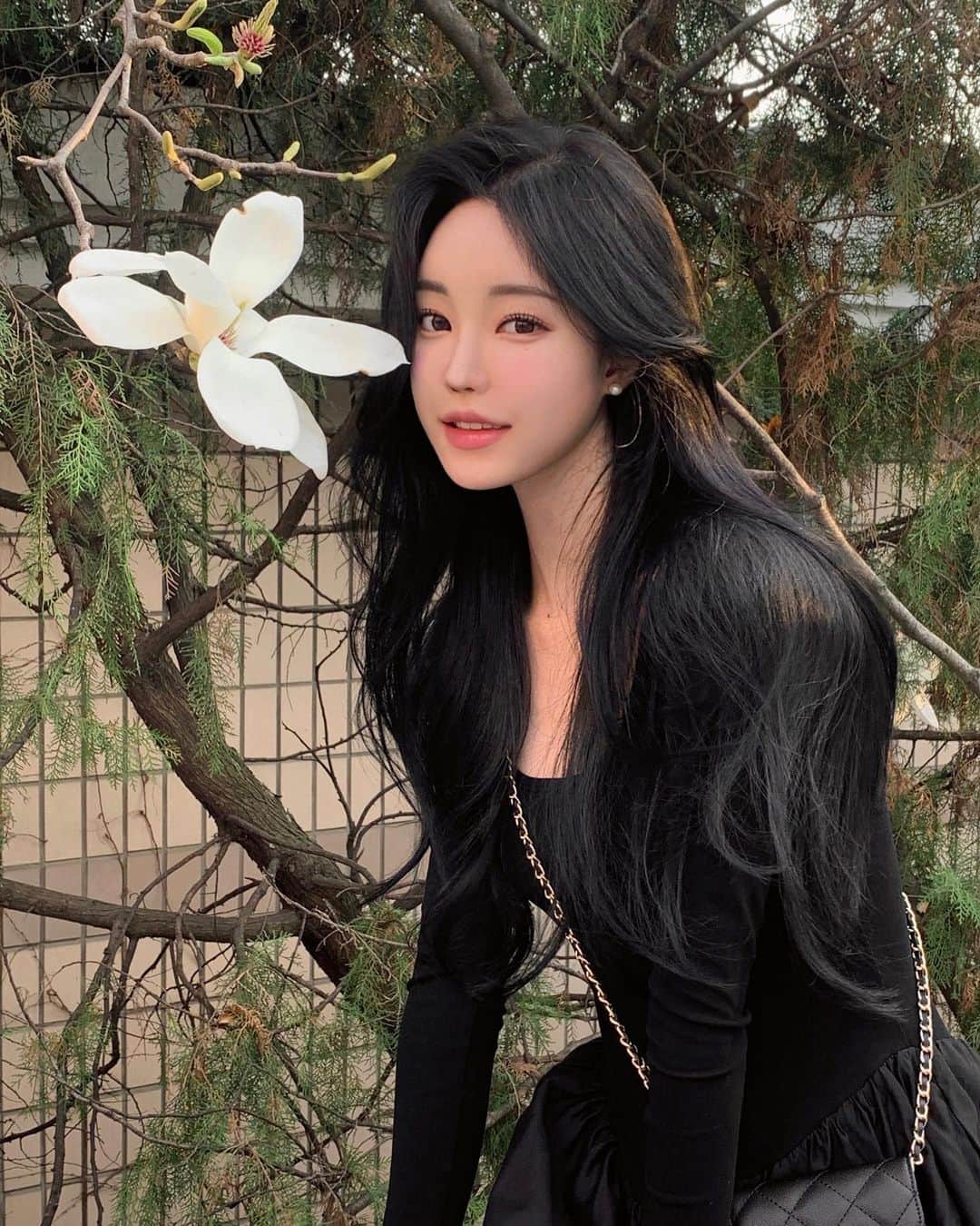 キム・ダビンのインスタグラム：「건물 사이에 피어난 목련」