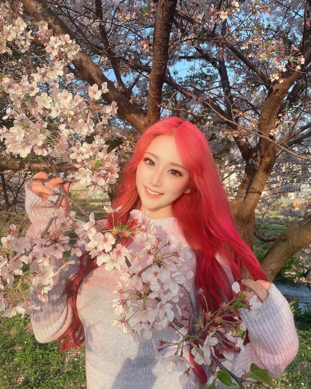 のインスタグラム：「☺︎ ピンクヘアになりました💖⁉️🤭 仲里依紗先生みたいなピンクを１回はやってみたくて遂に🤤💞💞 ピンク復活です🫶🏻  最後の写真、鳥もお花見してた🦆  @ochi.hairstylist さんいつもありがとうございます🐱」