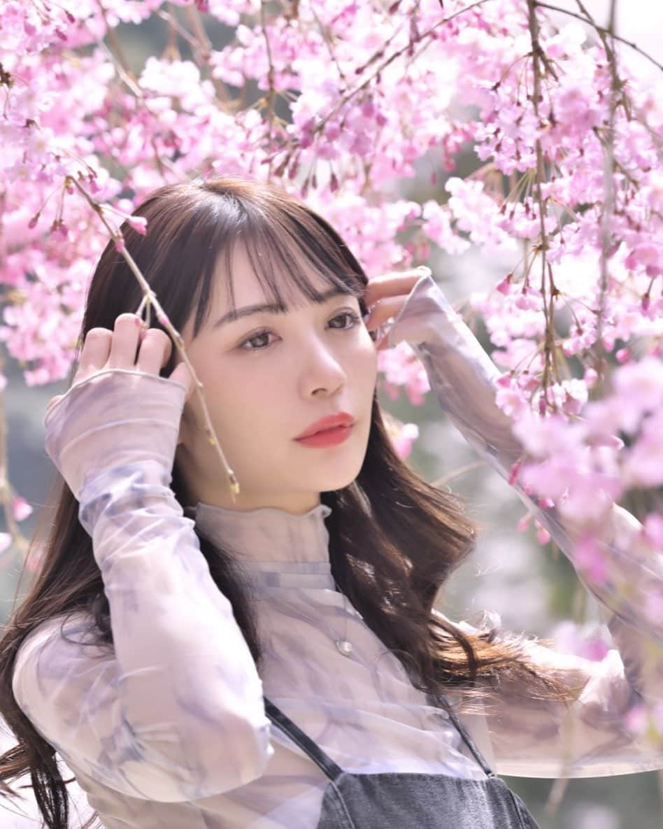 塩崎莉乃のインスタグラム：「. 三井寺での桜撮影🌸 . ほぼ山道やったのにヒールで１日歩き続けたっ 何回つまずいたか覚えてないくらい転けかけたけど 無事に転けることなく帰って来れたヨ . . . . . . . . . . . . . . . . . . . . #三井寺 #滋賀県観光 #滋賀県 #桜スポット #桜ポートレート #桜 #ポートレートモデル #ポートレート撮影 #被写体女子 #被写体募集 #被写体モデル #東京カメラ部 #カメラ部 #likesforlike #l4l #自然光撮影」