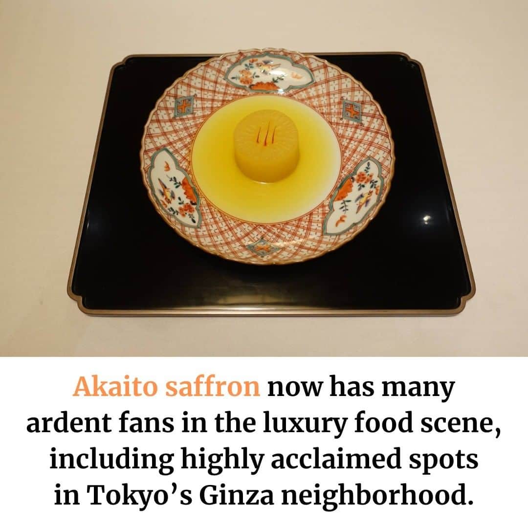 The Japan Timesさんのインスタグラム写真 - (The Japan TimesInstagram)「Saffron is a treasured crop with a painstakingly manual harvesting process that cannot be done with automation. Currently, there’s no procedure to mechanically separate the stigma from the plant, thus requiring patience and quick fingers during the short harvest window before the flowers wilt and deteriorate the stigma. Read more about how saffron flowers are grown and harvested in Japan with the link in our bio. 📸 Kayoko Hirata Paku . . . . . . #Japan #Saga #Kyushu #saffron #plant #plants #nature #japantimes #サフラン #日本 #佐賀 #佐賀県 #九州 #植物 #自然 #ジャパンタイムズ #🌱」4月5日 17時34分 - thejapantimes