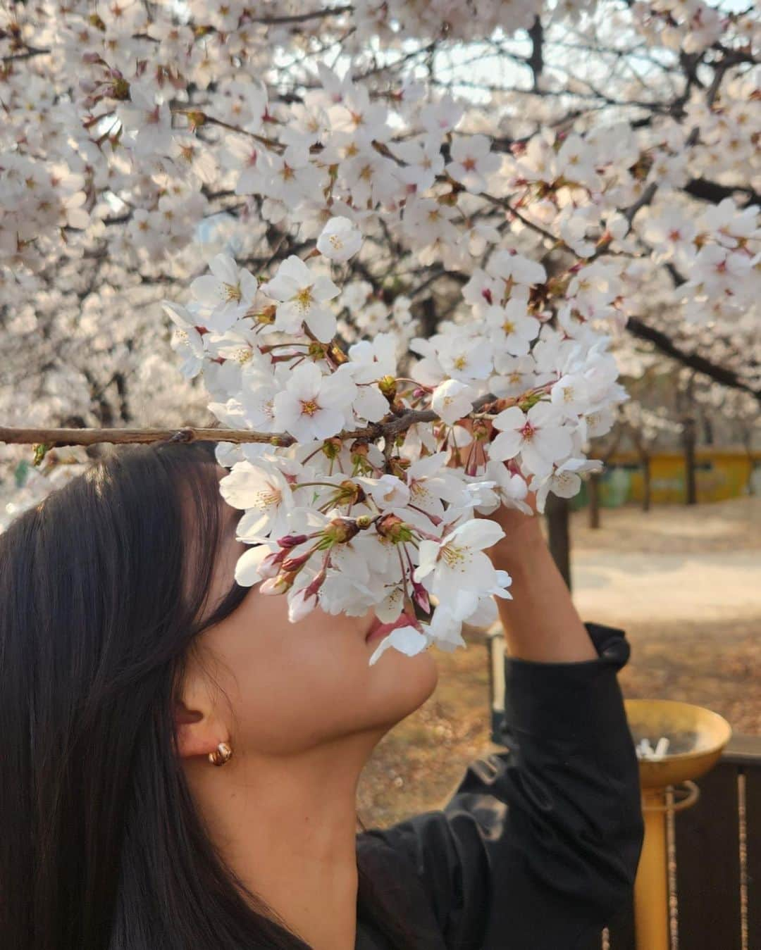 イム・セミさんのインスタグラム写真 - (イム・セミInstagram)「청명입니다 🌸  #세미의절기 #방전활제작발표회 #청명」4月5日 17時40分 - susemee