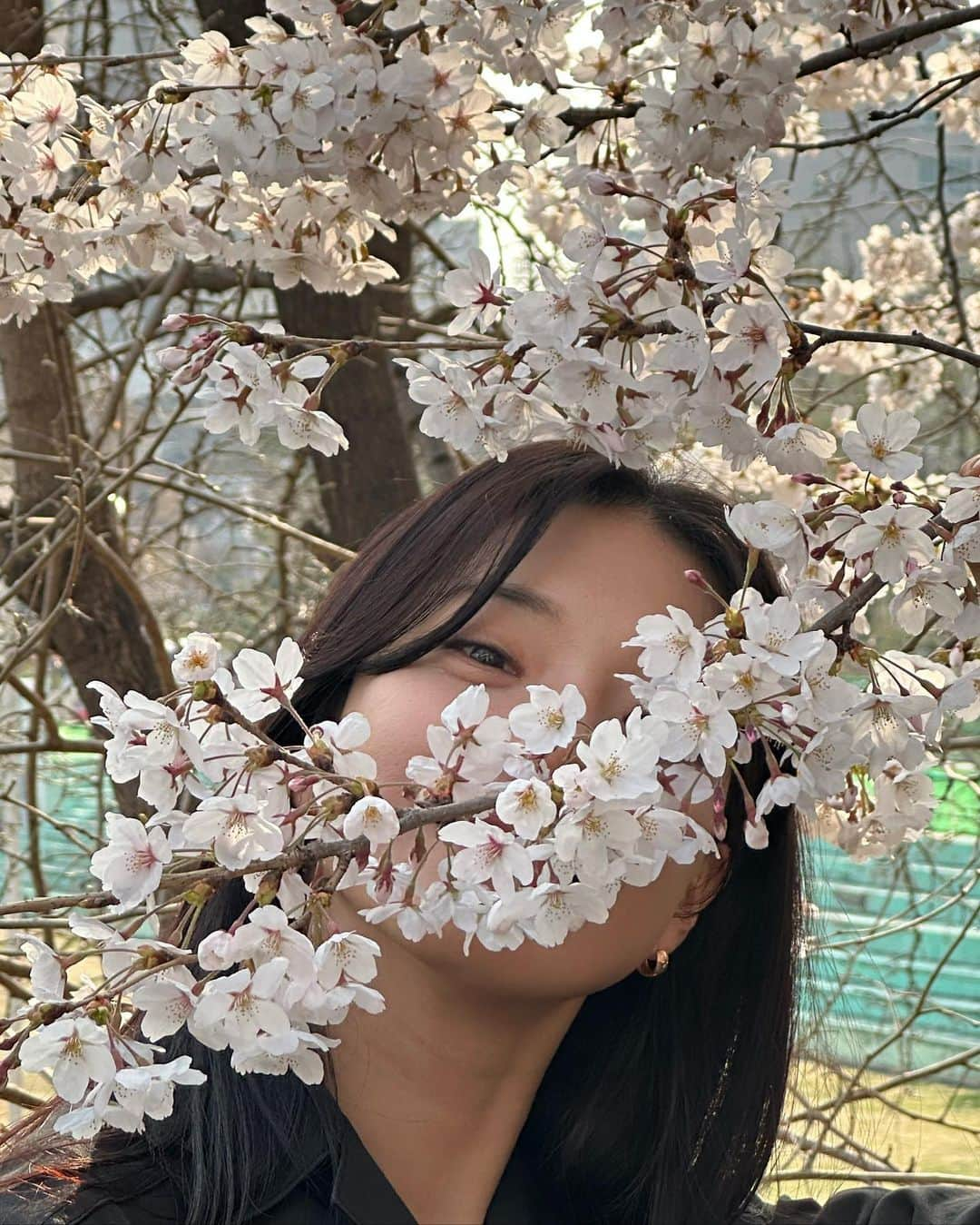 イム・セミのインスタグラム：「청명입니다 🌸  #세미의절기 #방전활제작발표회 #청명」