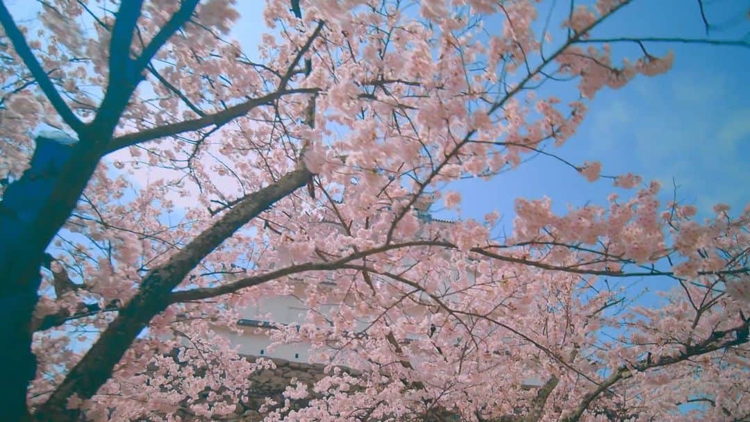 TOBU RAILWAY（東武鉄道）のインスタグラム
