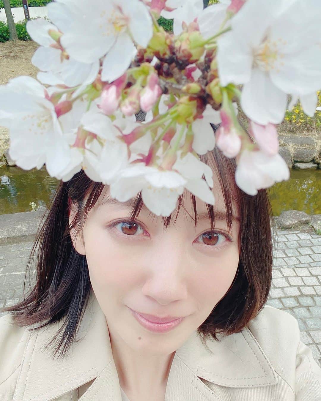 波瑠のインスタグラム：「桜の見頃も終わりつつ。 わたしのお嫁くんの放送スタートまで1週間となりましたよ。 雨も多かったけど、 皆さんは楽しいお花見できました？？」
