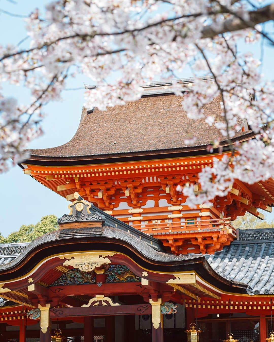 京都いいとこフォトのインスタグラム：「. 春の石清水八幡宮。 朱色と桜色のコントラストが美しい。  . Iwashimizu Hachimangu  in spring. The contrast between vermilion and cherry blossoms is beautiful. . Date:2023.3.30 Location:#石清水八幡宮 #iwashimizuhachimangu  Photo:@iharalba .」