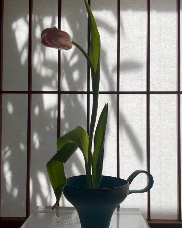 稲木ジョージのインスタグラム：「Ikebana and calligraphy kind of day 😌 卯月。 桜花散りぬる風の名残には水なき空に波ぞ立ちける -紀貫之-」
