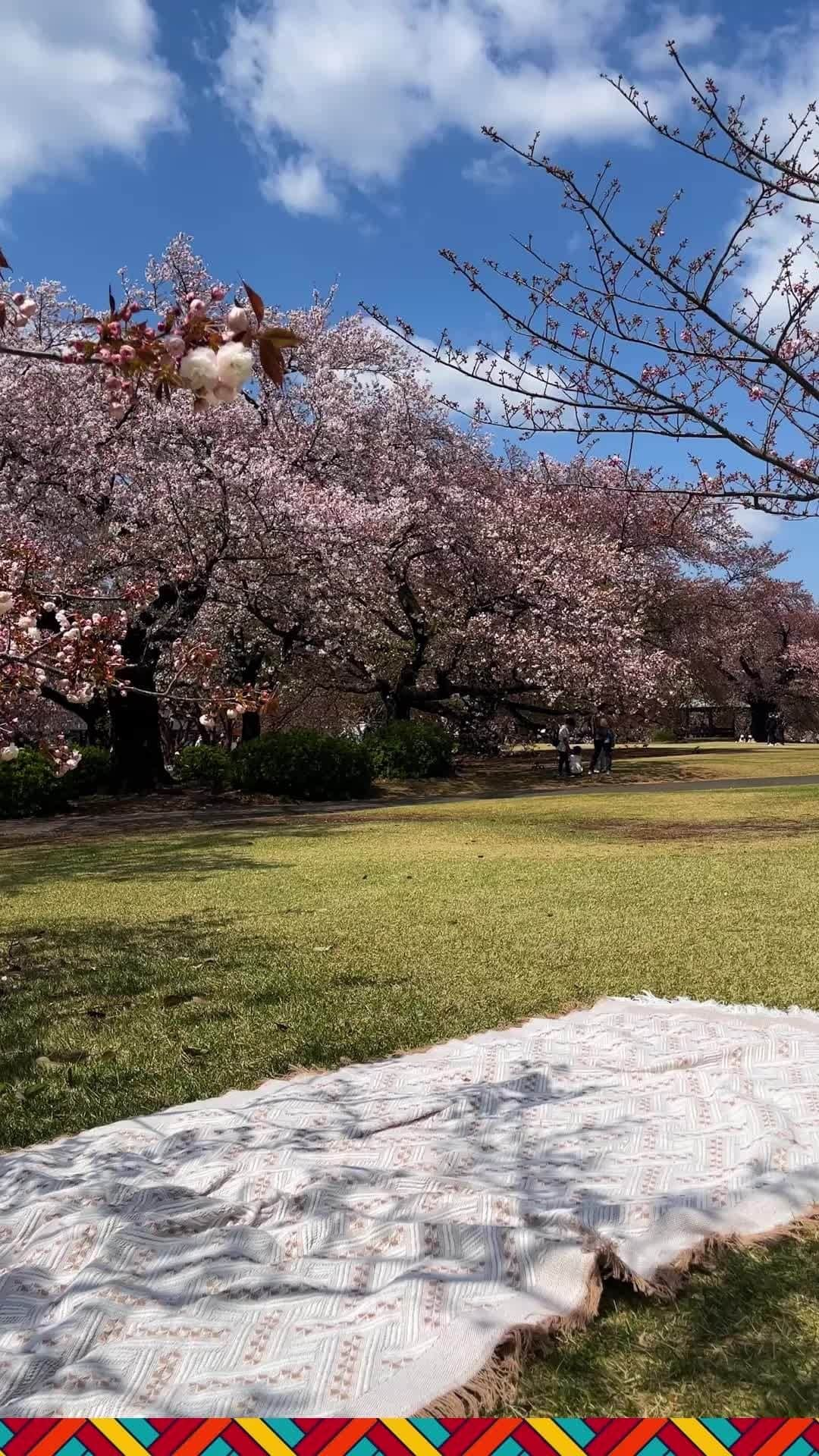 Jose Cuervo Japanのインスタグラム