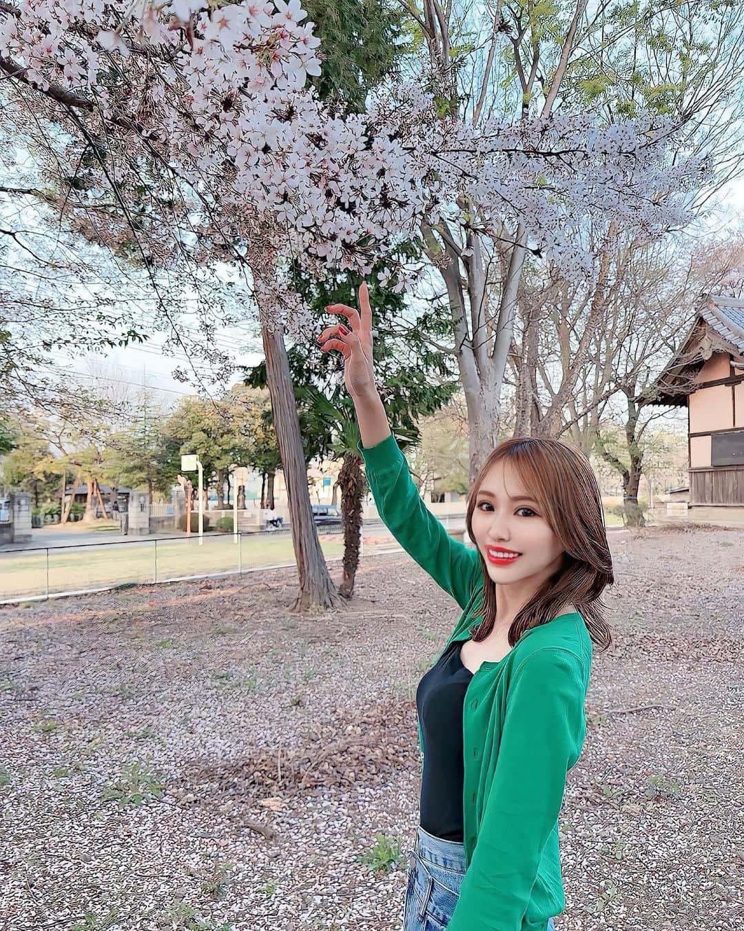 一ノ瀬恋のインスタグラム：「もう桜が終わりに近づいてますね🥲🌸  #桜」