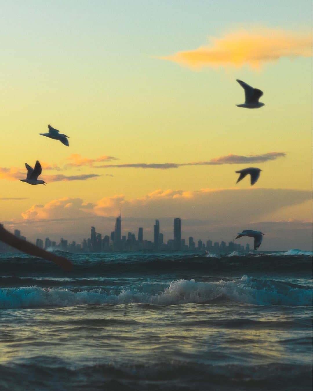 山中海輝さんのインスタグラム写真 - (山中海輝Instagram)「The World Is Beautiful. オーストラリアで見る最後の夕陽。  #australia #sunset #canon #canonphotography  @beautifuldestinations @goldcoast」4月5日 18時53分 - kaikiyamanaka