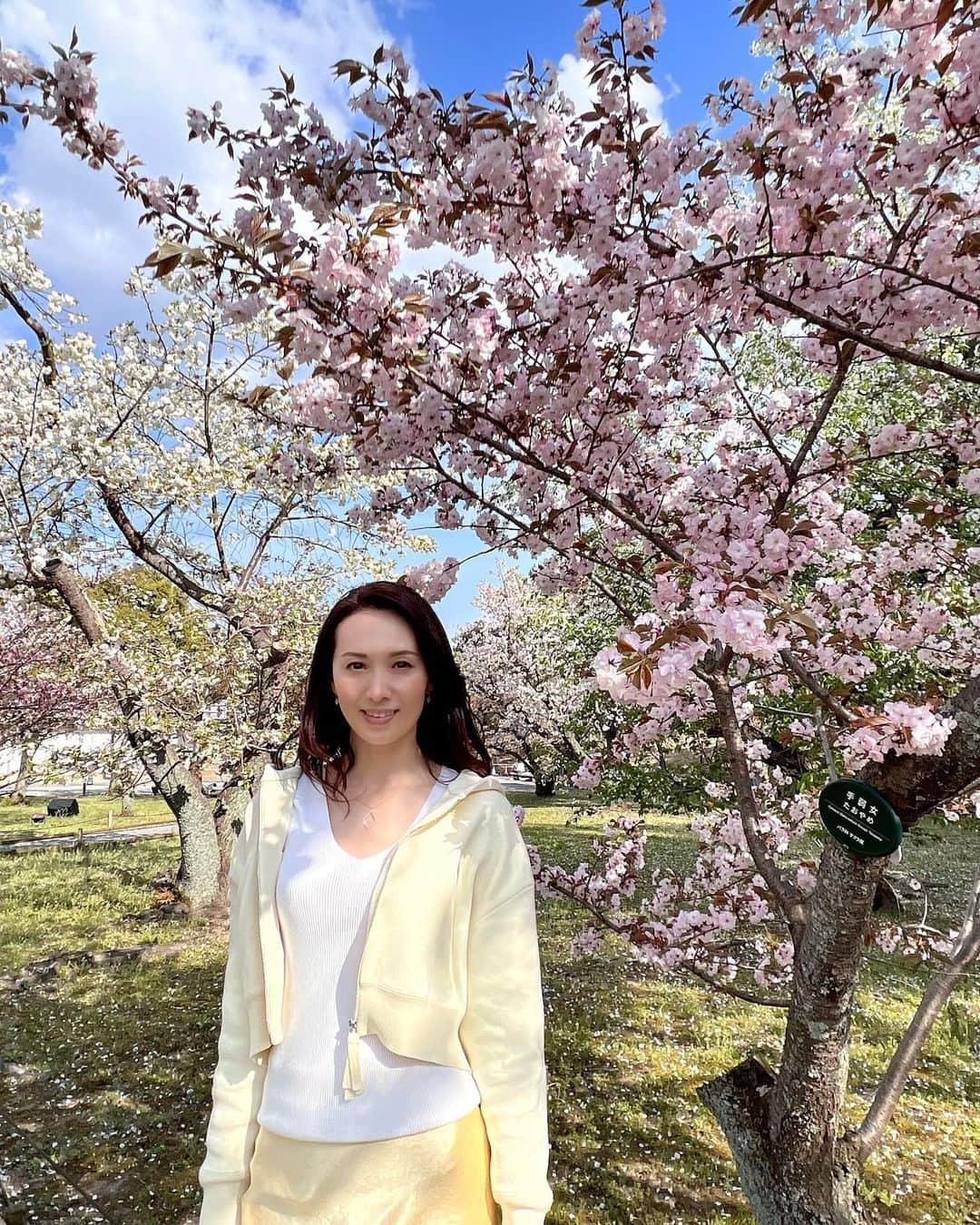 駒田奈美さんのインスタグラム写真 - (駒田奈美Instagram)「・ ・ ・ 『二条城』 ・ ・ 世界遺産の二条城 ・ 二条城桜まつり2023が4月15日まで 開催されているとの事で行ってきました♪ ・ ・ 二条城内には早咲きから遅咲きまで 50品種約300本の桜があり様々な桜を楽しめます✨ ・ ・ 初めて見る品種の桜も沢山あって… 沢山写真を撮ってきました♪ ・ ・ 夜のライトアップも素敵みたい！ 行きたかったなぁ〜 ・ ・ ・ #駒田奈美#モデル#アラフィフ#美魔女#京都#桜#京都観光 #京都桜#二条城#ライトアップ#素敵#世界遺産」4月5日 18時48分 - nami.komada