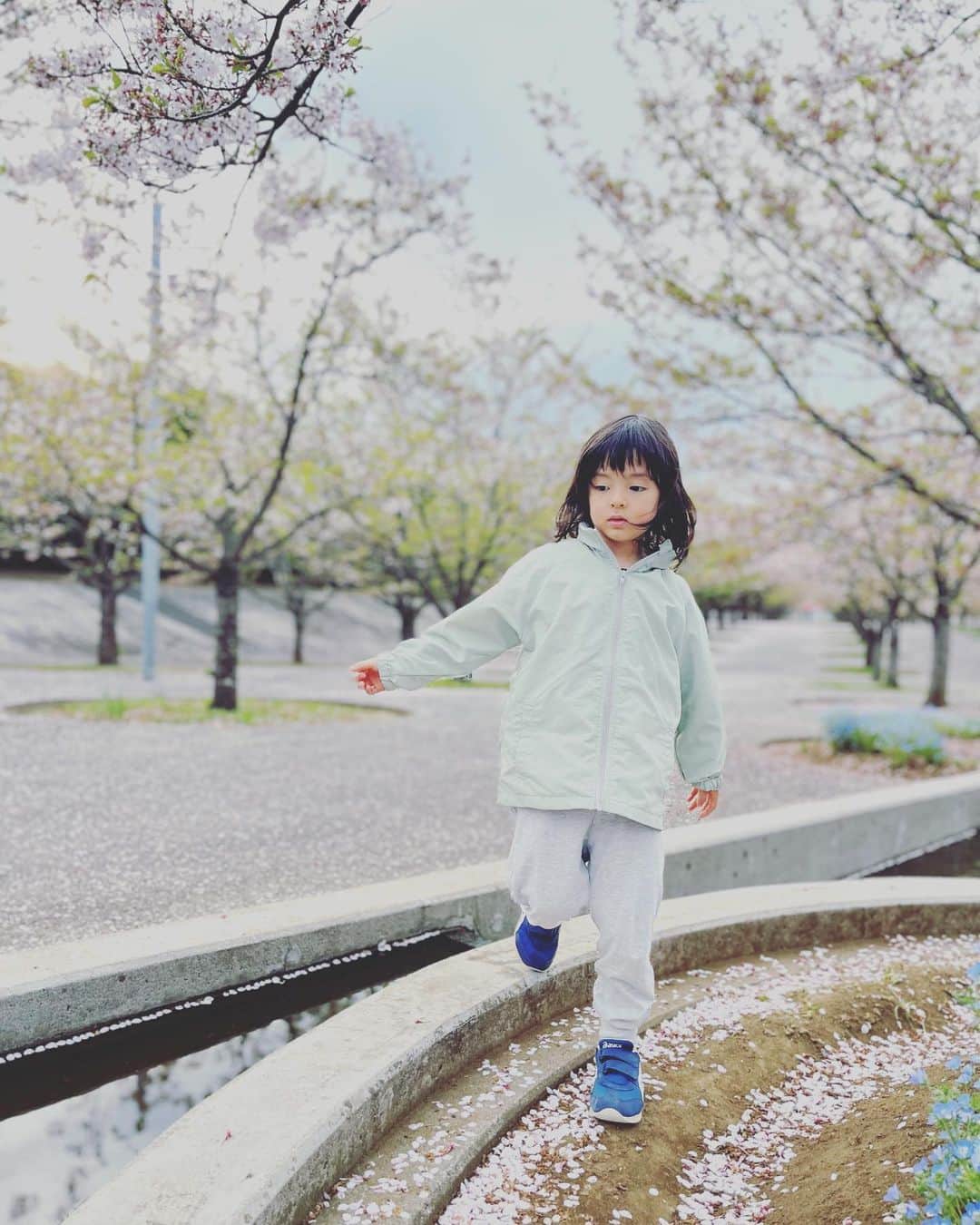 岡田優介さんのインスタグラム写真 - (岡田優介Instagram)「1年ぶりに🌸  もう散り始めだったけど空いてたので良し。息子は相変わらず元気いっぱいです。  #sakura #cherryblossom #さくら広場」4月5日 18時50分 - ysk_okada