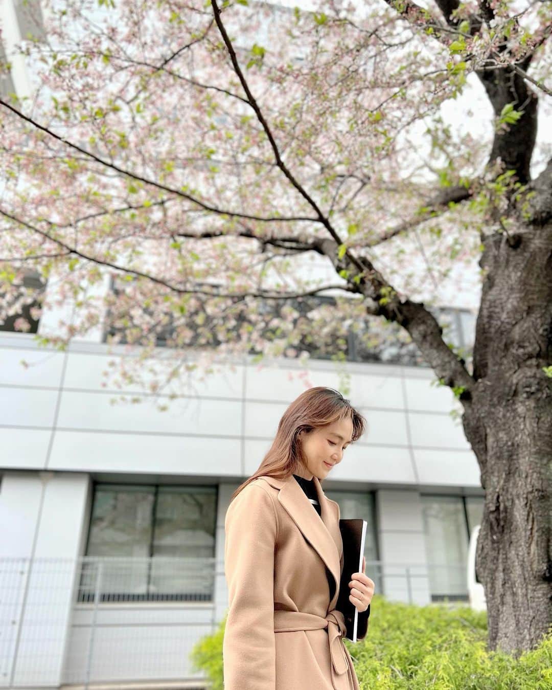 石村友見さんのインスタグラム写真 - (石村友見Instagram)「. ニューヨークから シカゴ乗り換えで 日本に着きました〜✈️ ⁡ トータル20時間の フライトで疲れ果てましたが、 桜が私の心を癒してくれました。 ⁡ やっぱり 日本が大好きです❤️ ⁡ 心に羽を。 ⁡ #桜  #日本大好き」4月5日 18時56分 - tomomi.ishimura