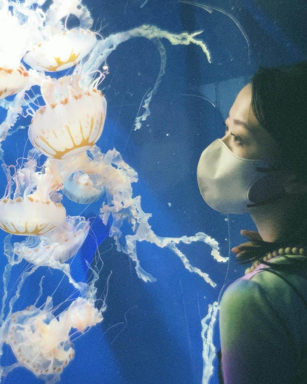 中江友梨のインスタグラム：「水族館好きなんだよ~ ぼーっと集中できるから🫧 みんなの好きな所は？」