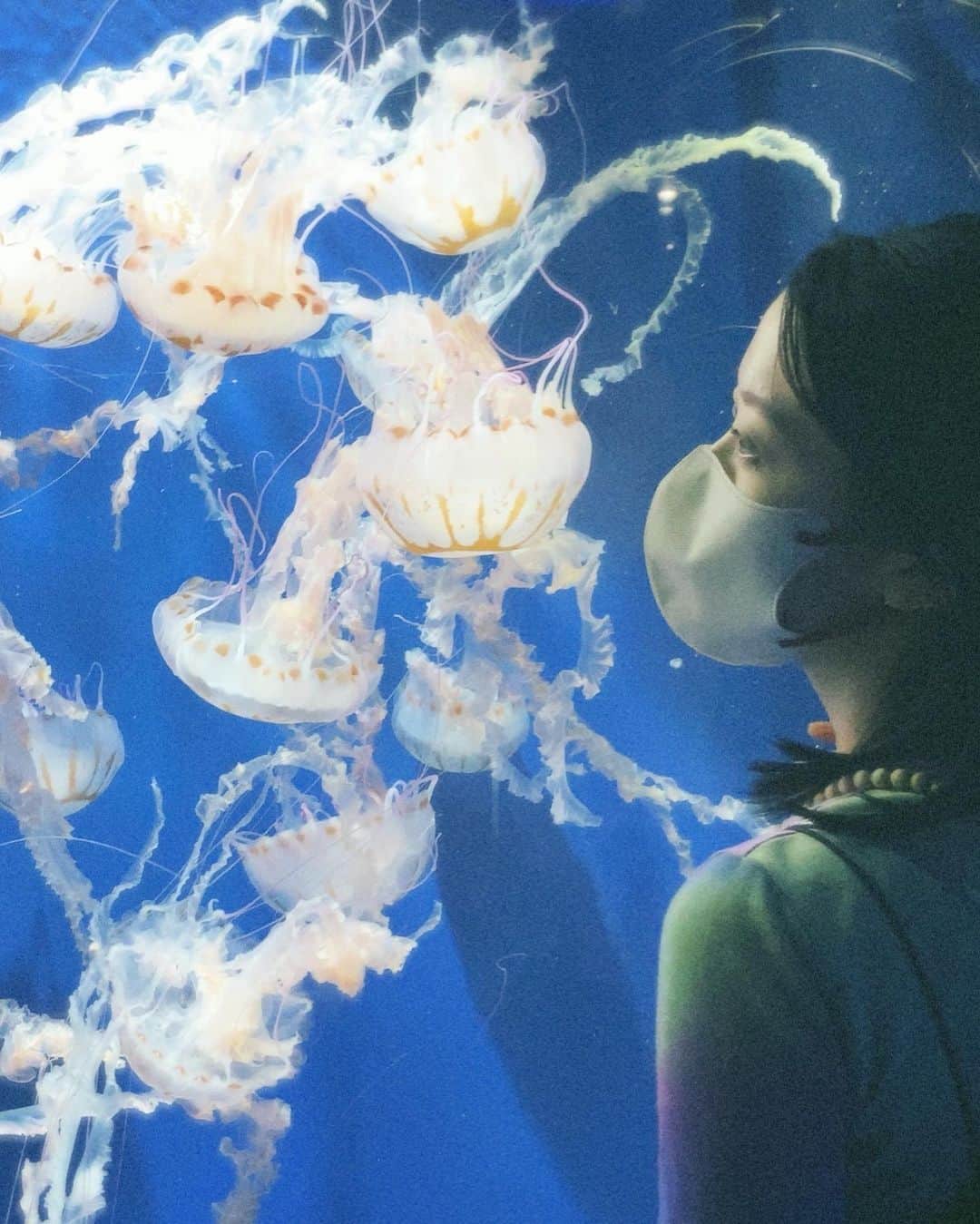 中江友梨さんのインスタグラム写真 - (中江友梨Instagram)「水族館好きなんだよ~ ぼーっと集中できるから🫧 みんなの好きな所は？」4月5日 18時58分 - yuri_tokyogirlsstyle