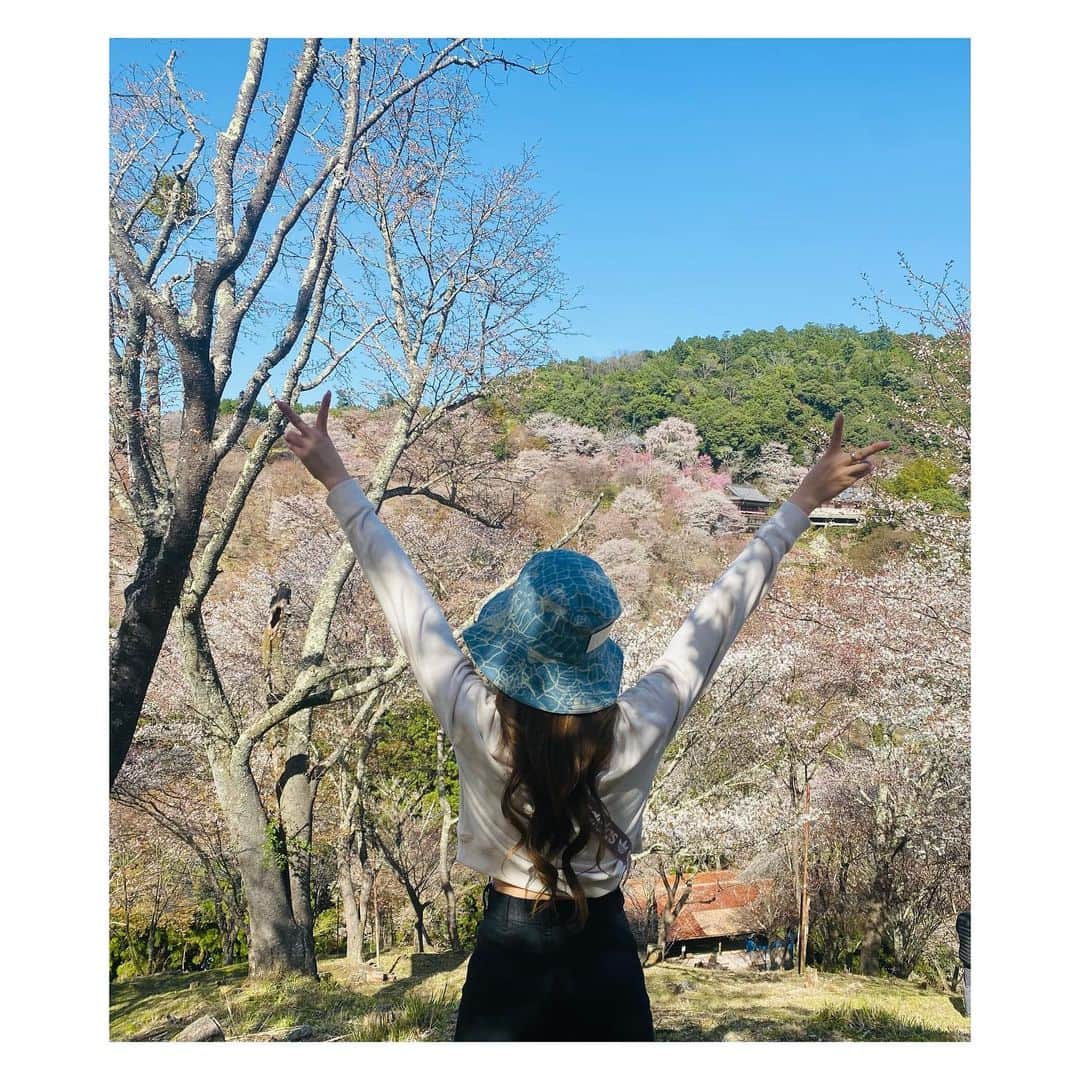 愛聖りさのインスタグラム：「. 学生の時からずっと行きたいと思ってた 吉野の桜を見に行ったよ〜🌸 残念ながらちょっとタイミング早かったけど 念願叶って嬉しかったです✨ 来年リベンジでまた行きたい！！！  #吉野桜 #関西ドライブ」