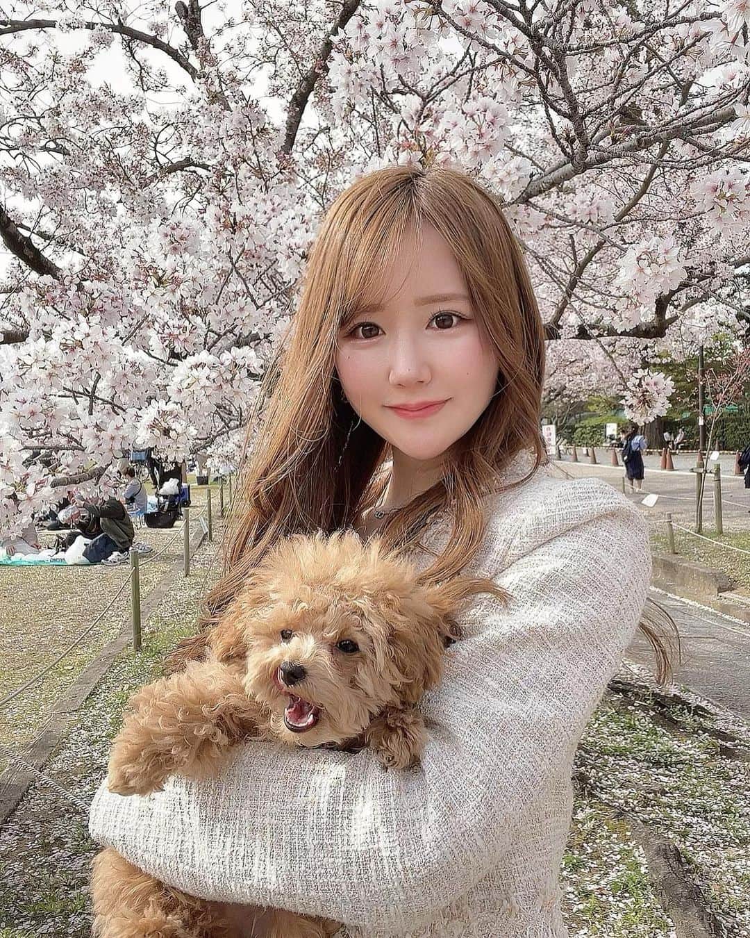 あだちまみのインスタグラム：「. こむぎとお花見🐶🌸❣️ ⁡ #本日のコーデ#outfit #ポートレート#撮影 #撮影モデル#関西被写体#インフルエンサー #ビジネス#副業#事業#女性企業#美容 #ビジョビ#ビジョスタ#女性経営者」