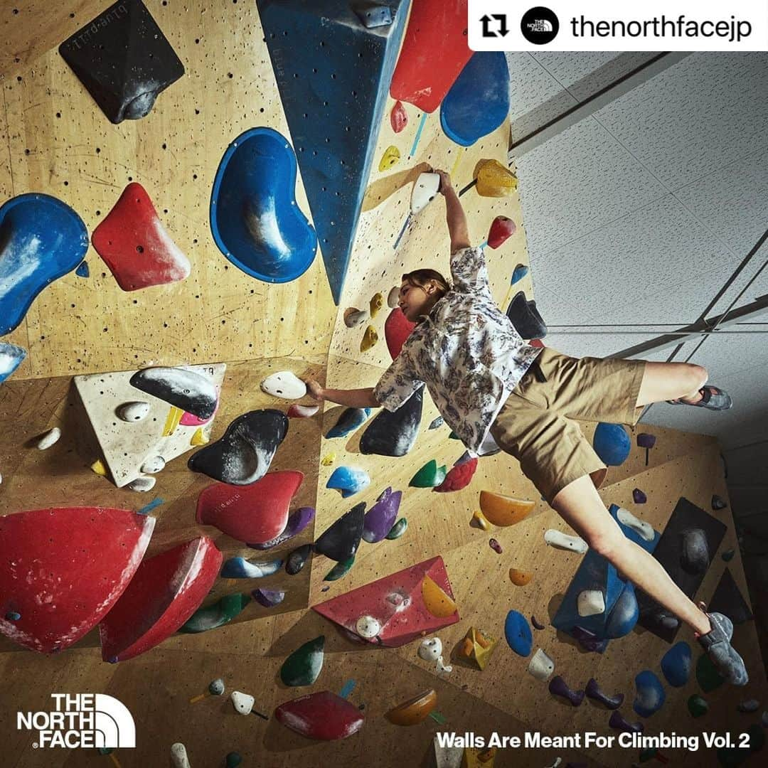 伊藤ふたばのインスタグラム：「#Repost @thenorthfacejp   【WALLS ARE MEANT FOR CLIMBING ― Collaboration with Naoto Sunohara Vol.2】 身体的な動きを抽象的な風景として表現する新進気鋭の画家、春原直人とのコラボレーション・クライミングシャツの第2弾  1968年のブランド創業以来、THE NORTH FACEは「壁」を障害物ではなく、可能性を探究する挑戦の場として捉えてきました。「登る」というプリミティブな行為を通じて自然と対峙し、自らの想像力を刺激することで、「自然」、「天性」、「本質」としての「nature」を呼び覚ますことができると信じています。こうした私たち一人一人が持つクリエイティビティや内なる自然の象徴として、自らが山行中に体験した身体的な動きを抽象的な風景として表現する新進気鋭の画家、春原直人が制作したアートワークを全面にプリントしたアイテムの第二弾が発表となりました。  #ザノースフェイス #ノースフェイス #thenorthface #neverstopexploring #climbing #クライミング #art」