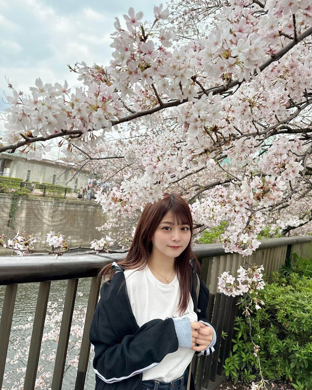 すみだかほのインスタグラム：「桜見てきた🌸 満開だった！！ #grl #グレイル」