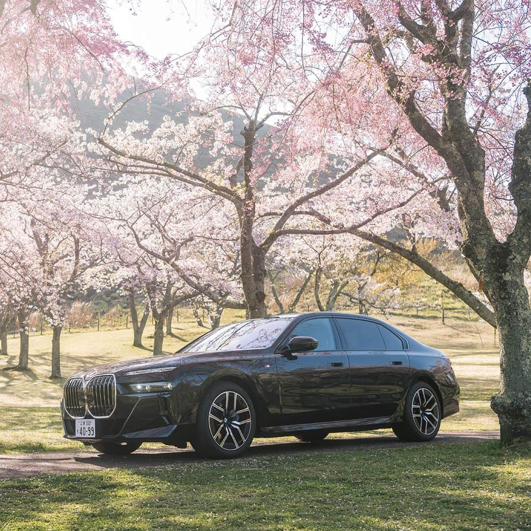 BMW Japanさんのインスタグラム写真 - (BMW JapanInstagram)「BMW7シリーズと桜の調和が織り成す 四季折々の美しい時間。  #FORWARDISM #BMW #駆けぬける歓び #BMWJapan #BMW740i #BMWSAKURA #cherryblossom #桜」4月5日 20時15分 - bmwjapan