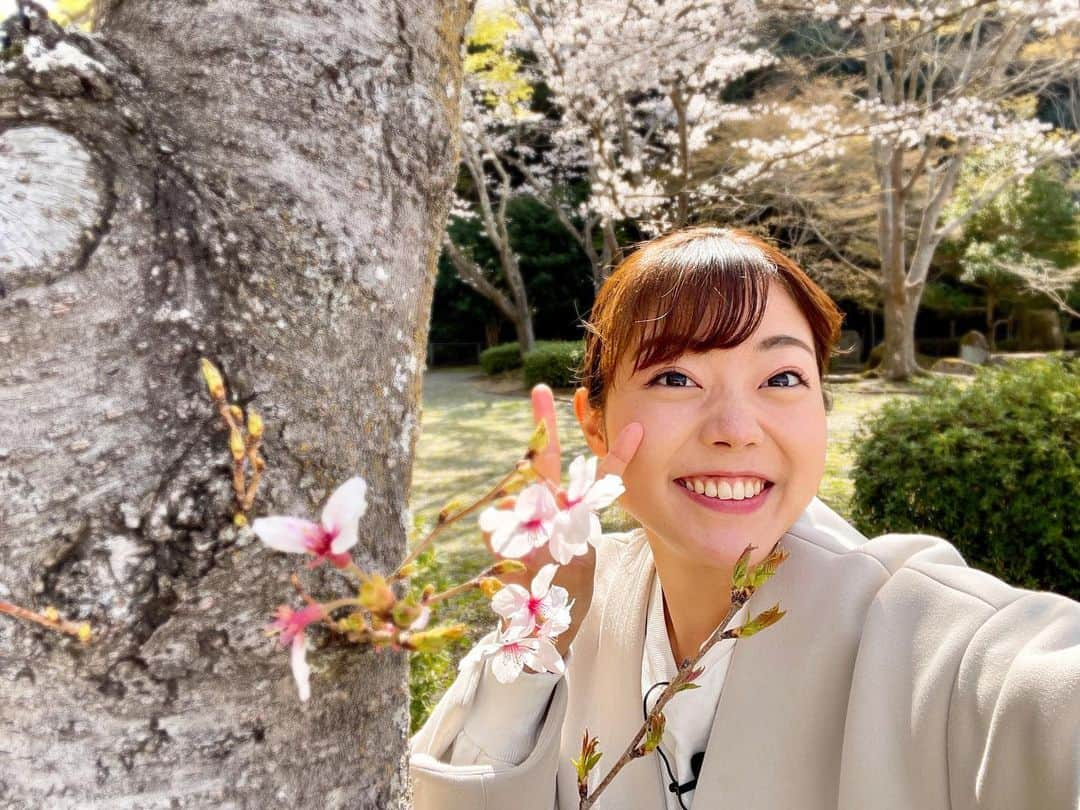 田村友里さんのインスタグラム写真 - (田村友里Instagram)「明日も雨かな〜☂️ そんな時はおうちで「花よりガッツ」💪 18時30分頃〜ぜひご覧ください！ 東広島市河内町に行ってきました🌸  #イマナマ #花よりガッツ #東広島市河内町」4月5日 20時27分 - yuri_tamura0894