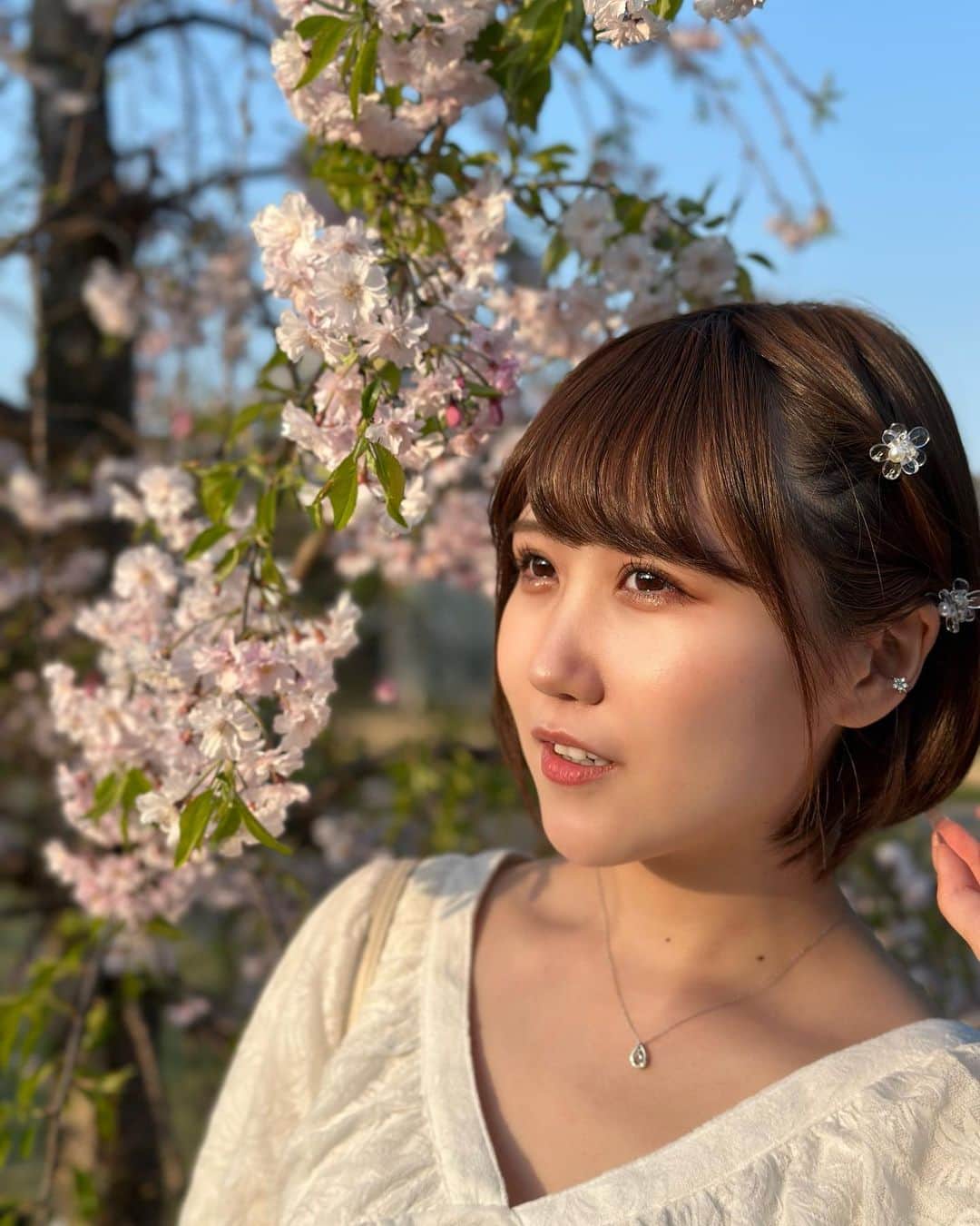 公野舞華さんのインスタグラム写真 - (公野舞華Instagram)「⁡ ⁡ ⁡ やっばい。普通に投稿忘れるとこだった ⁡ ⁡ 桜と写真撮らなきゃな〜と思いつつも 家に引きこもってたら だいぶ緑になってた🥲🥲 ⁡ ⁡ でも、今度ある人とお花見してくるんだ🫶🏻 ⁡ 写真載せられたら載せるね！ ⁡ ⁡」4月5日 20時37分 - comiqon_maika