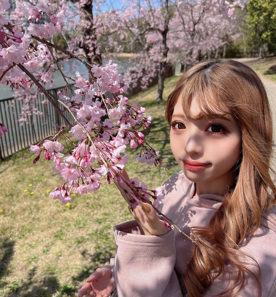YUNAさんのインスタグラム写真 - (YUNAInstagram)「お花見🌸🍡‪‪❤︎‬  プリンになってきたなー😒  .  .」4月5日 20時30分 - 24yunaa