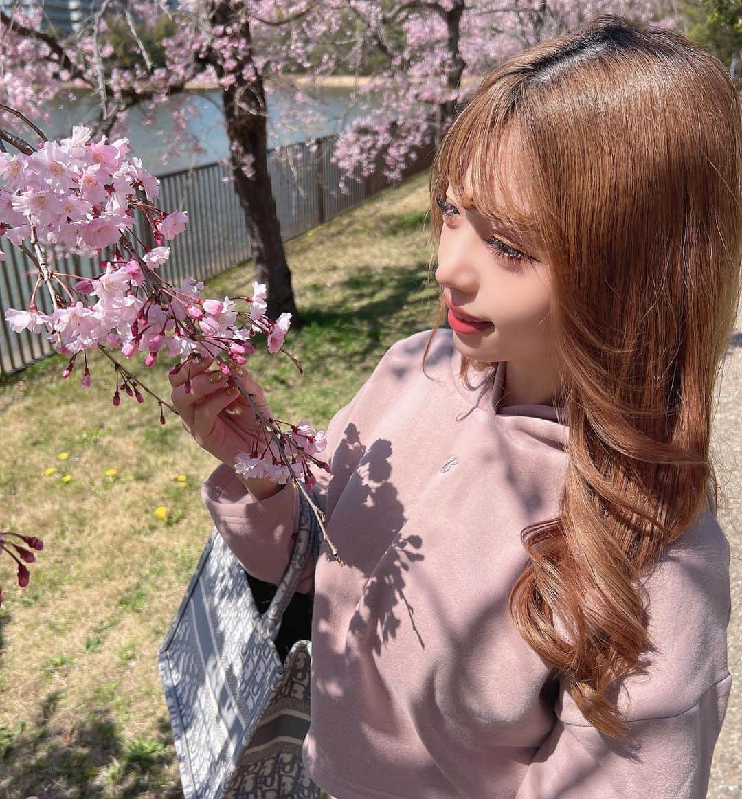 YUNAのインスタグラム：「お花見🌸🍡‪‪❤︎‬  プリンになってきたなー😒  .  .」