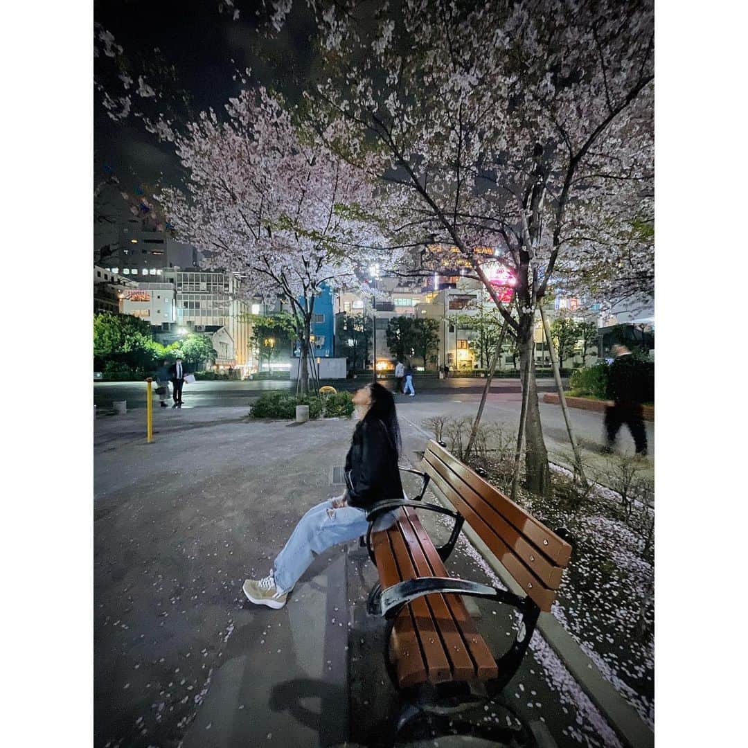 遠藤瞳のインスタグラム：「桜の隙間からお月様🌛  🍓🌸  #cherryblossom  #桜 #🌸 #夜桜」