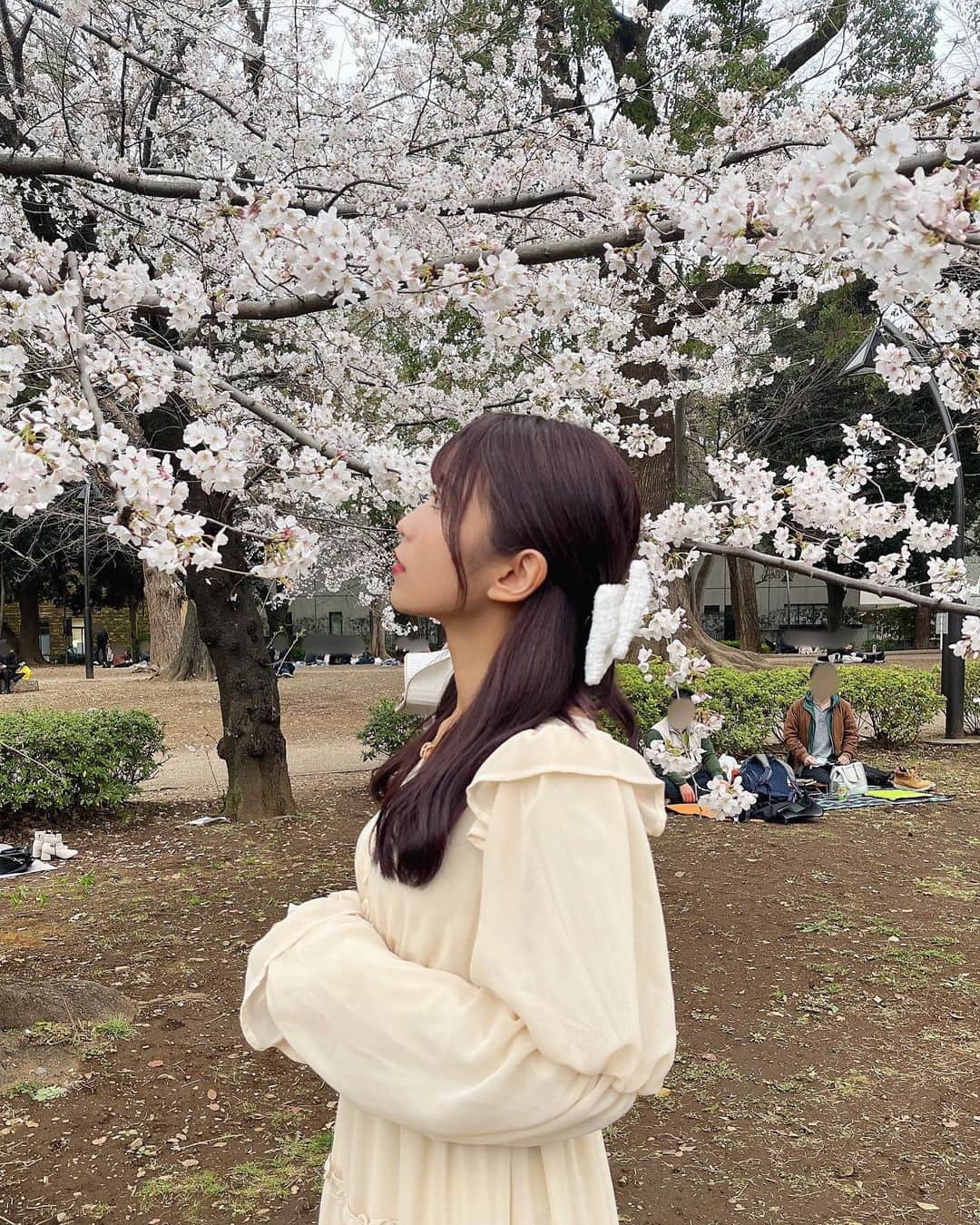 のインスタグラム：「桜綺麗でピンクで可愛いから ずっと咲いててくれ〜〜〜💭  来年こそはお弁当作って レジャーシートひいてお花見してみたい(毎年言ってる人)」