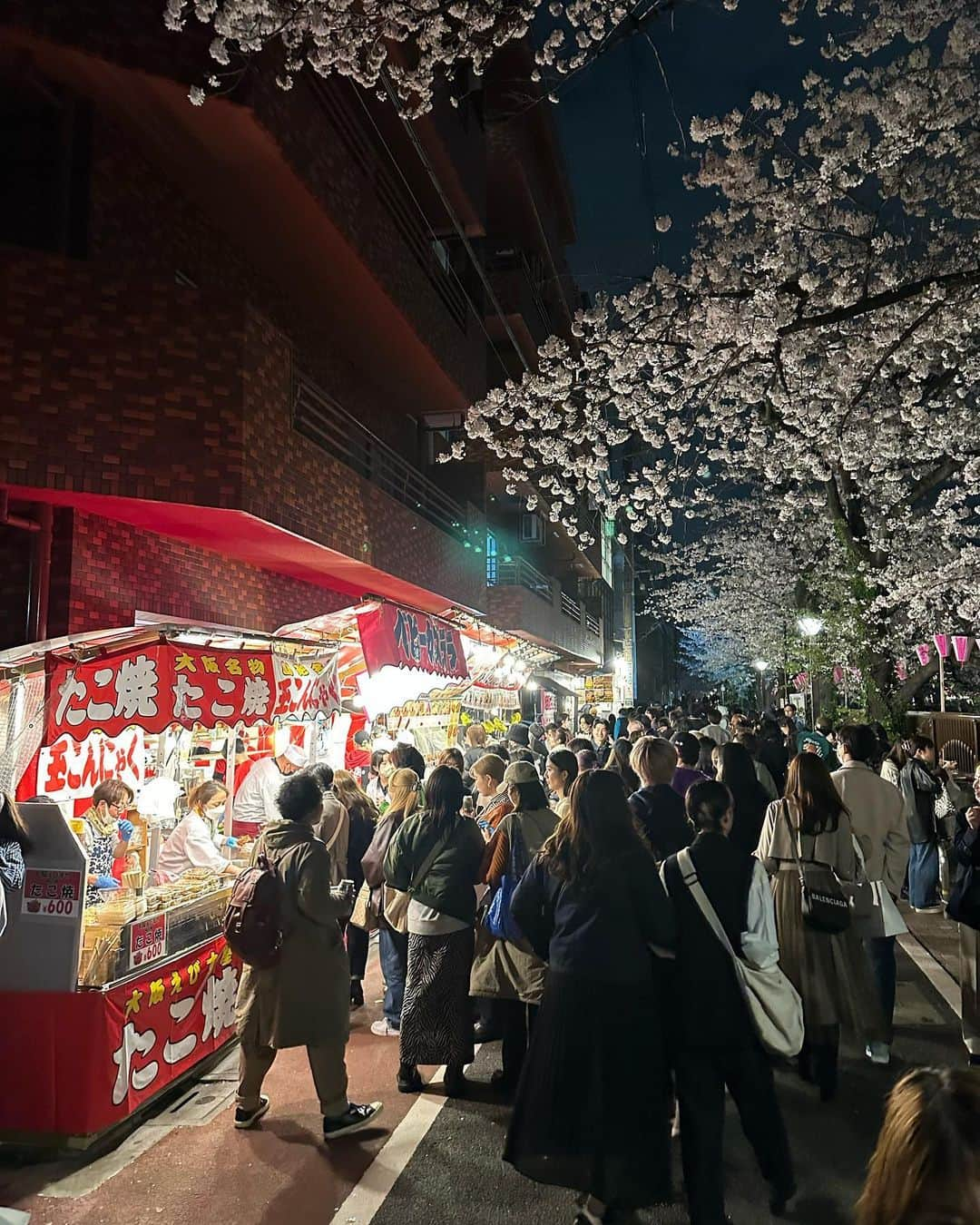 しょうきさんのインスタグラム写真 - (しょうきInstagram)「中目黒の夜桜🌸 ⁡ 今年も目黒川の桜でお花見できて幸せ！ 太陽が出ている日中の桜も素敵だけど、夜桜のライトアップされた桜もほんのりピンク色で美しくて綺麗だった🌙 ⁡ 桜を見ると春を感じられていいよね 牛タン串もカステラも食べれて大満足 ⁡ 桜に合わせて、DIORの花柄のニットで、ピンクと黄色、水色の少し淡い色味が好みで春先はこのニット一枚で沢山お出かけしたい🤴 ⁡ ⁡ #中目黒 #お花見 #目黒川 ⁡ #cherryblossom #目黒川の桜 #中目黒の桜 #目黒川お花見 #夜桜 #桜スポット #dior #diorhomme #diormen #kimjones #パールネックレス #パールピアス #パールリング #パールアクセサリー #メンズパール #ニットコーデ #春コーデ #春服コーデ」4月5日 20時44分 - shoki_h96