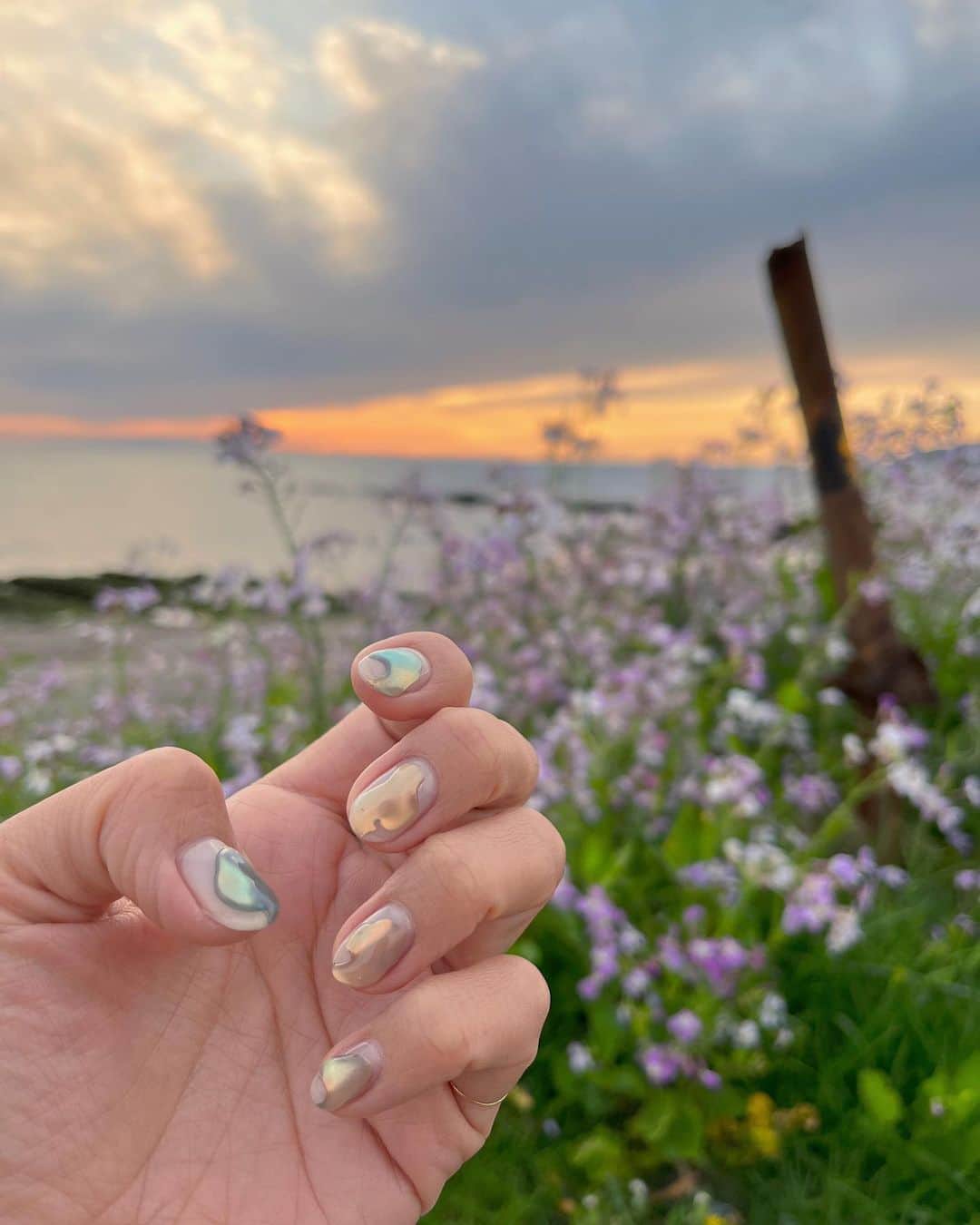 土井地恵理子のインスタグラム：「NAILS💅 気に入ってるので備忘録 ぷっくりミラーネイル  南房総 この日のsunsetも綺麗だったな  この時期よく咲いてるピンクの花は 大根の一種なんだって  #nails #ネイル #ジェルネイル #ミラーネイル」