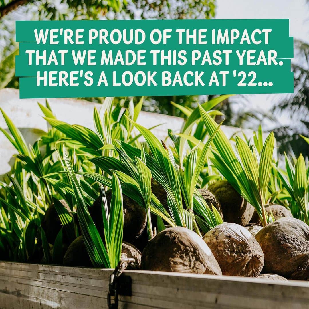 Vita Coco Coconut Waterのインスタグラム：「We strive to be impactful every year, but in 2022, we made quite the impact, if we do say so ourselves. But you don't have to take our word for it. You can read all about it at the link in our bio. 💙」